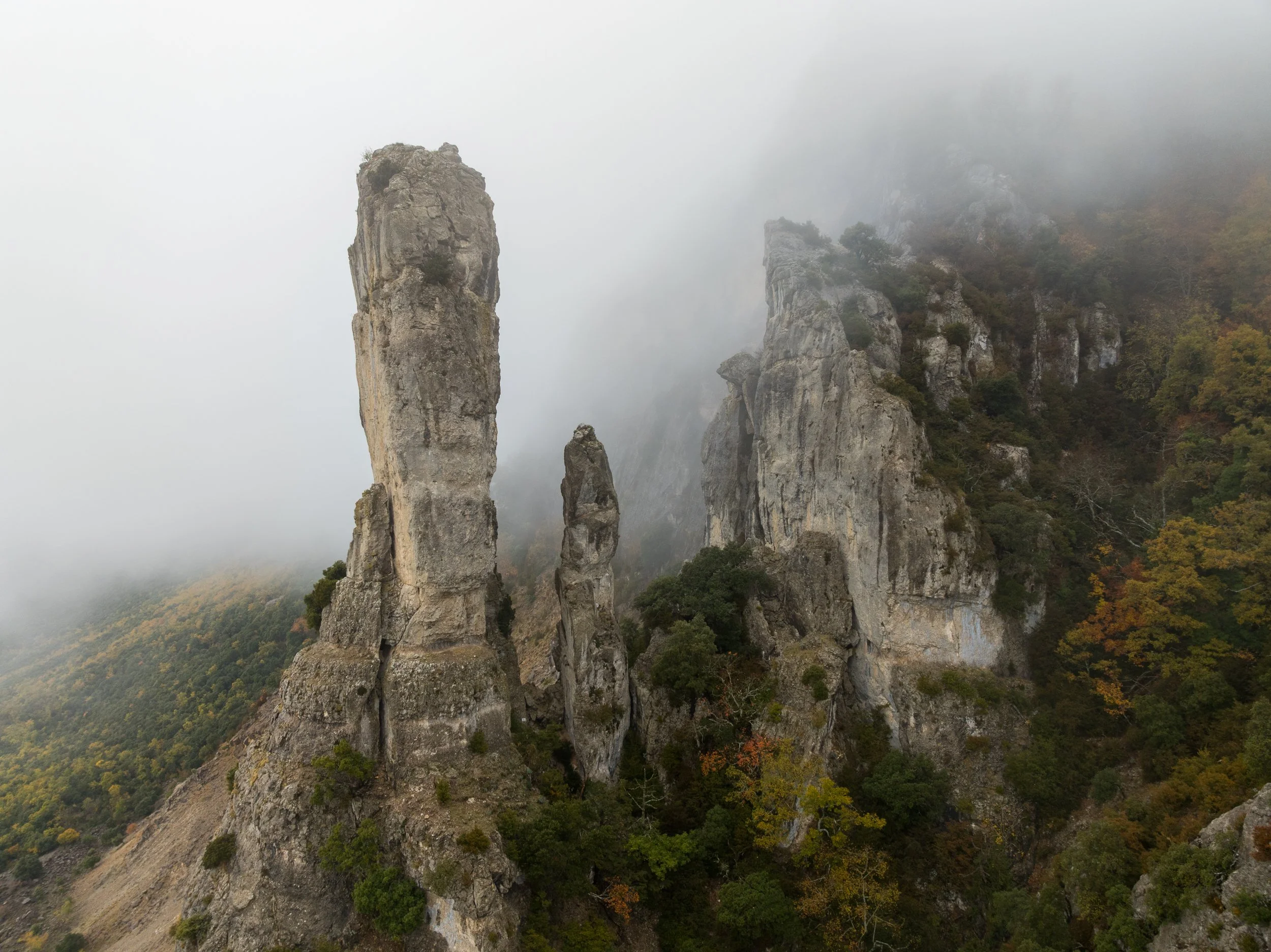 DJI_0483.jpg