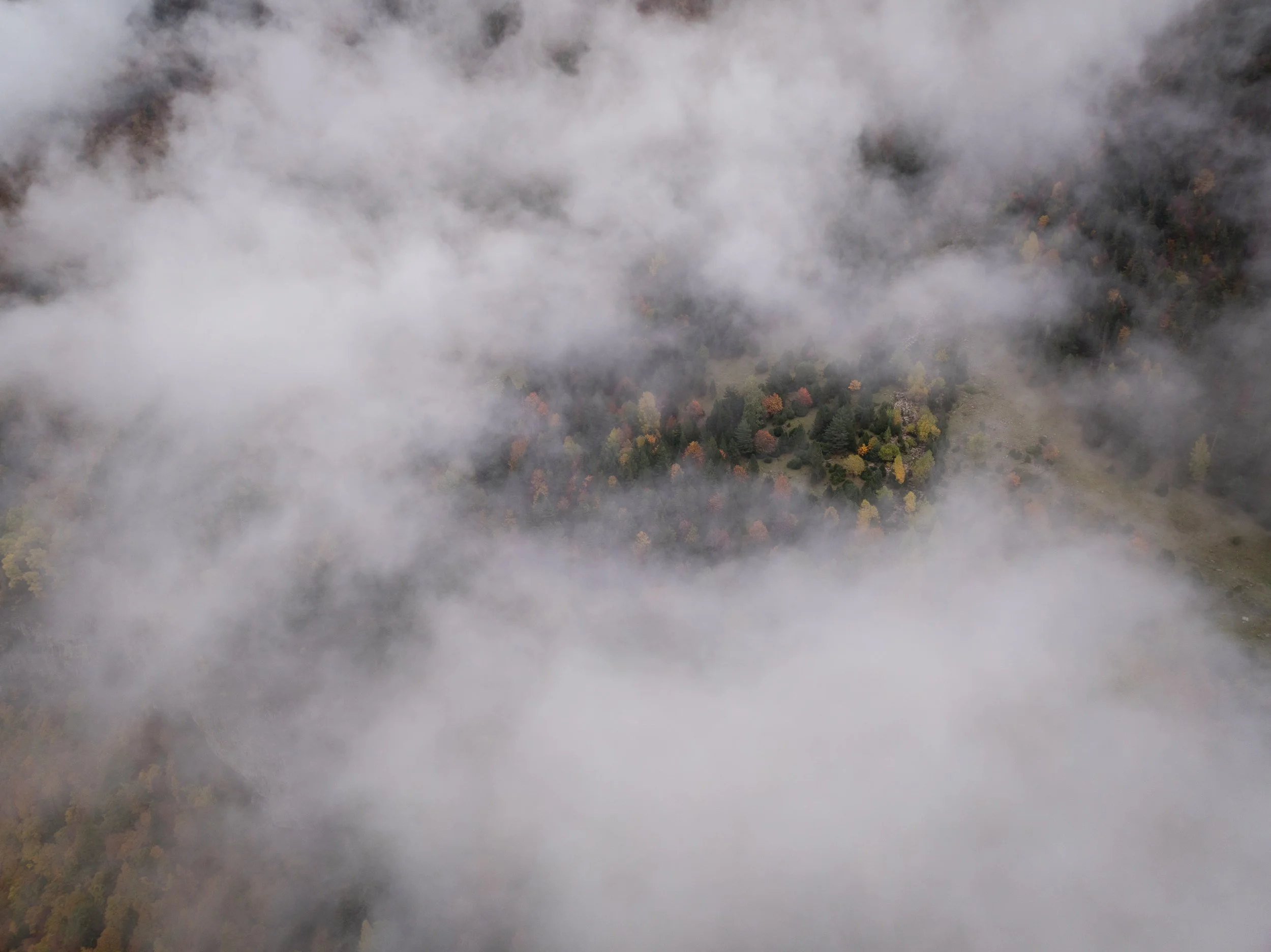 DJI_0290.jpg