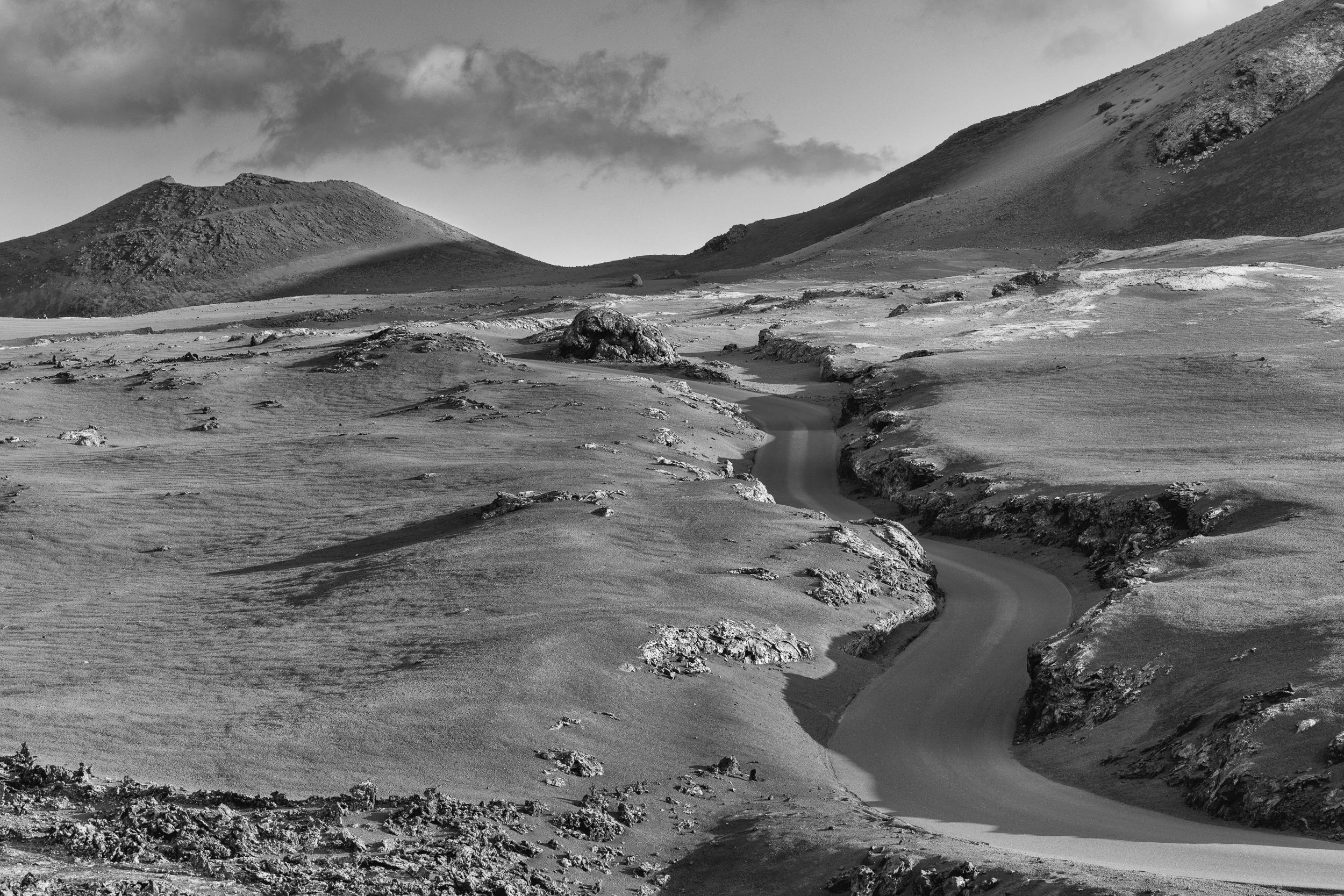 _MG_8598-Editar.jpg