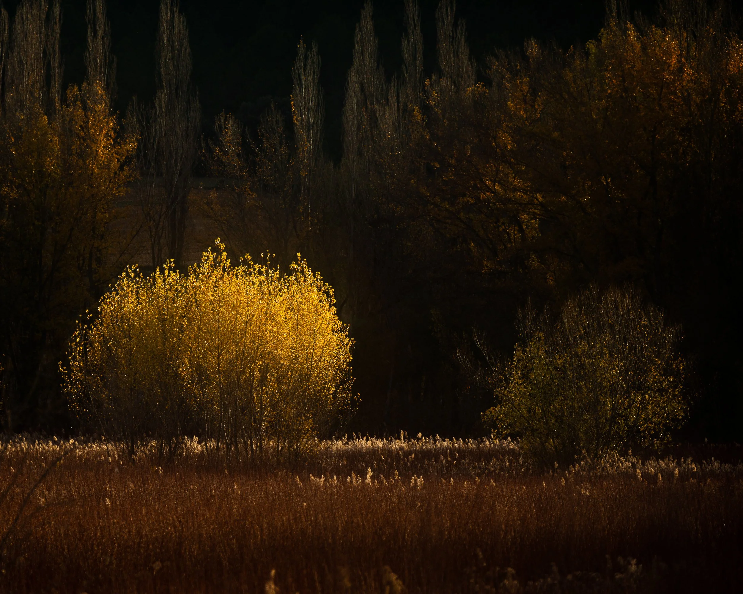_DM46310-Editar.jpg