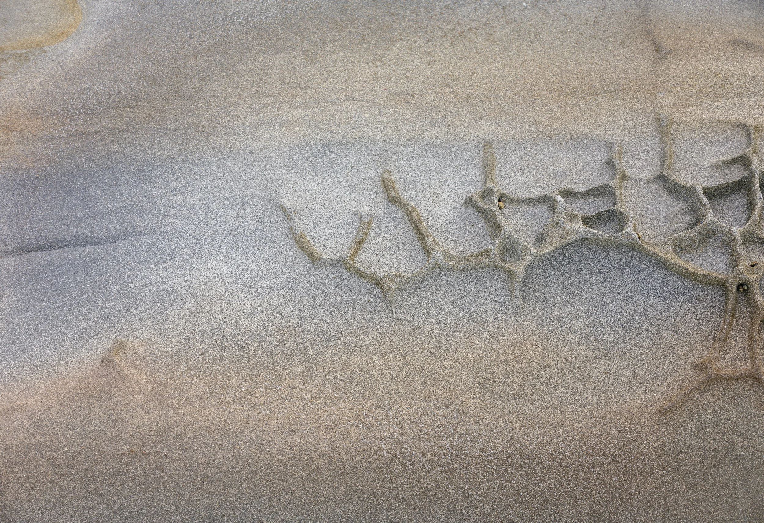 _DM41387-Edit.jpg