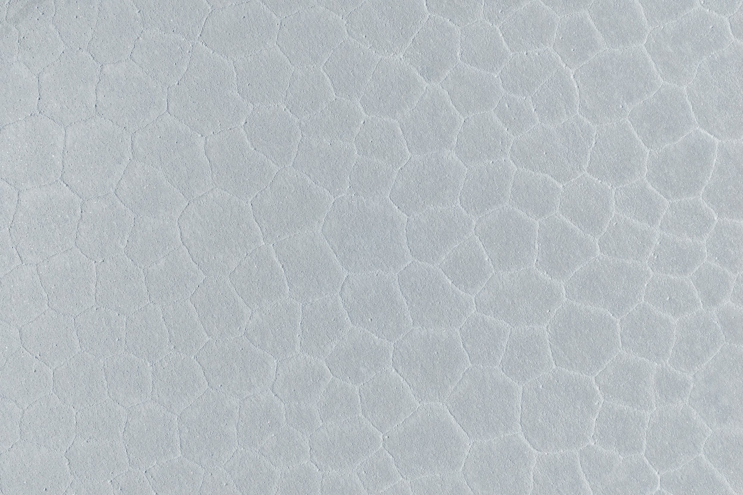 DJI_20260415202352_0139_D.jpg