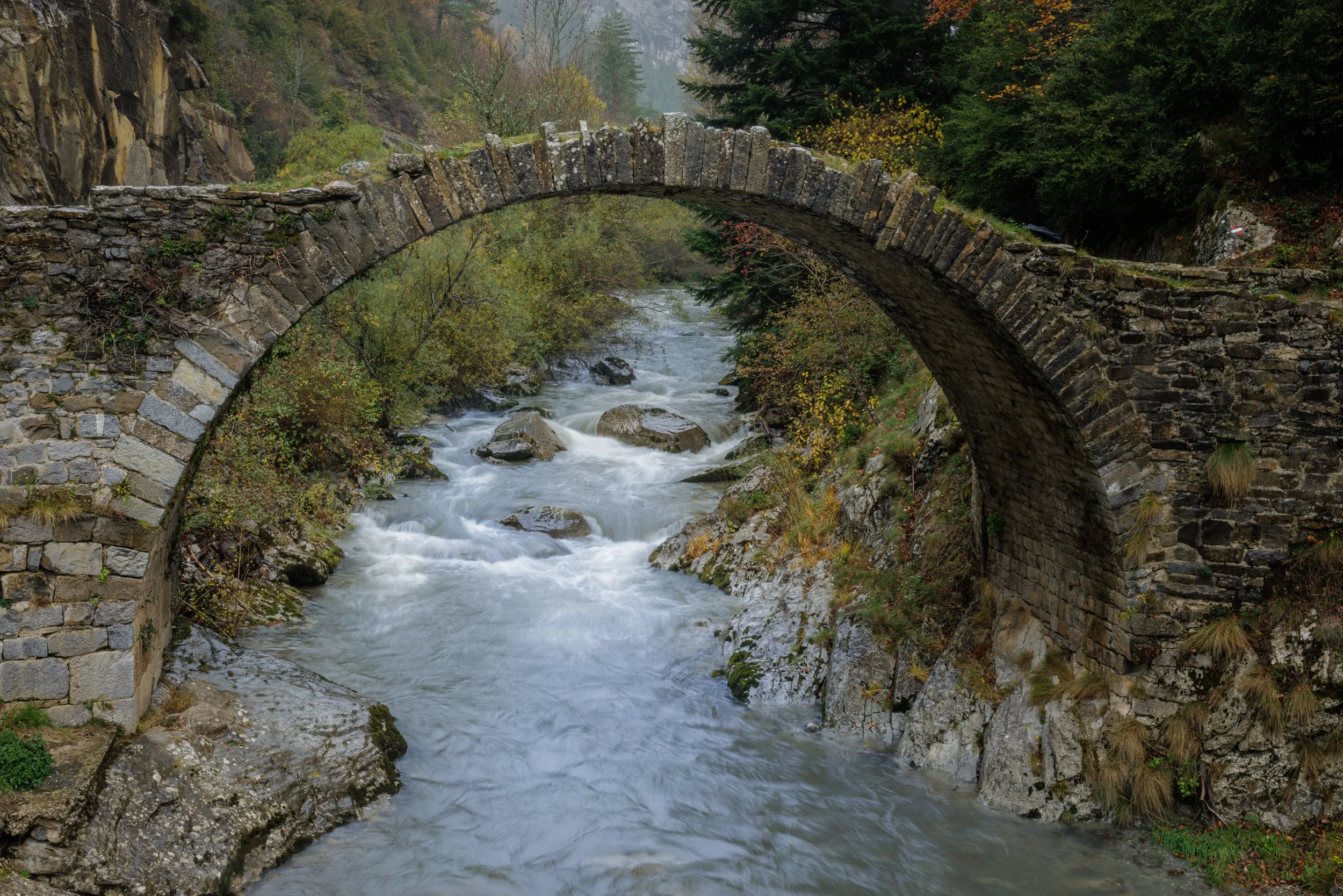 _5JG3461.jpg
