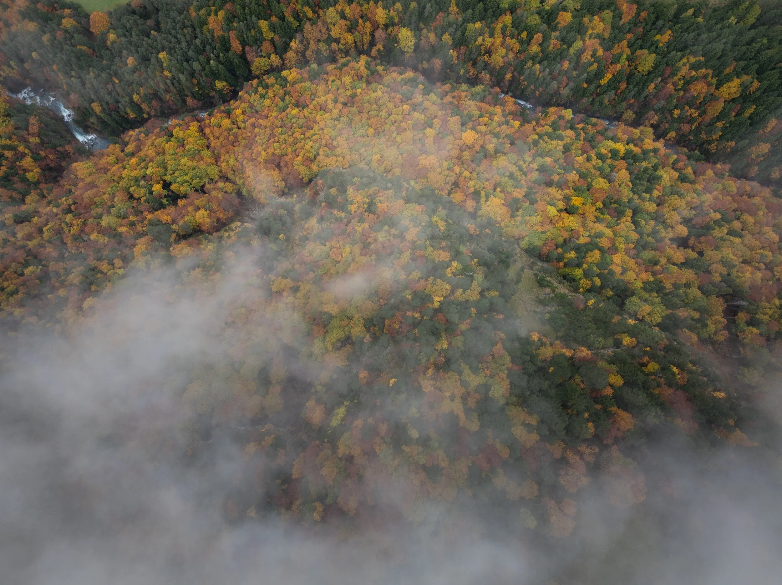 DJI_0293.jpg