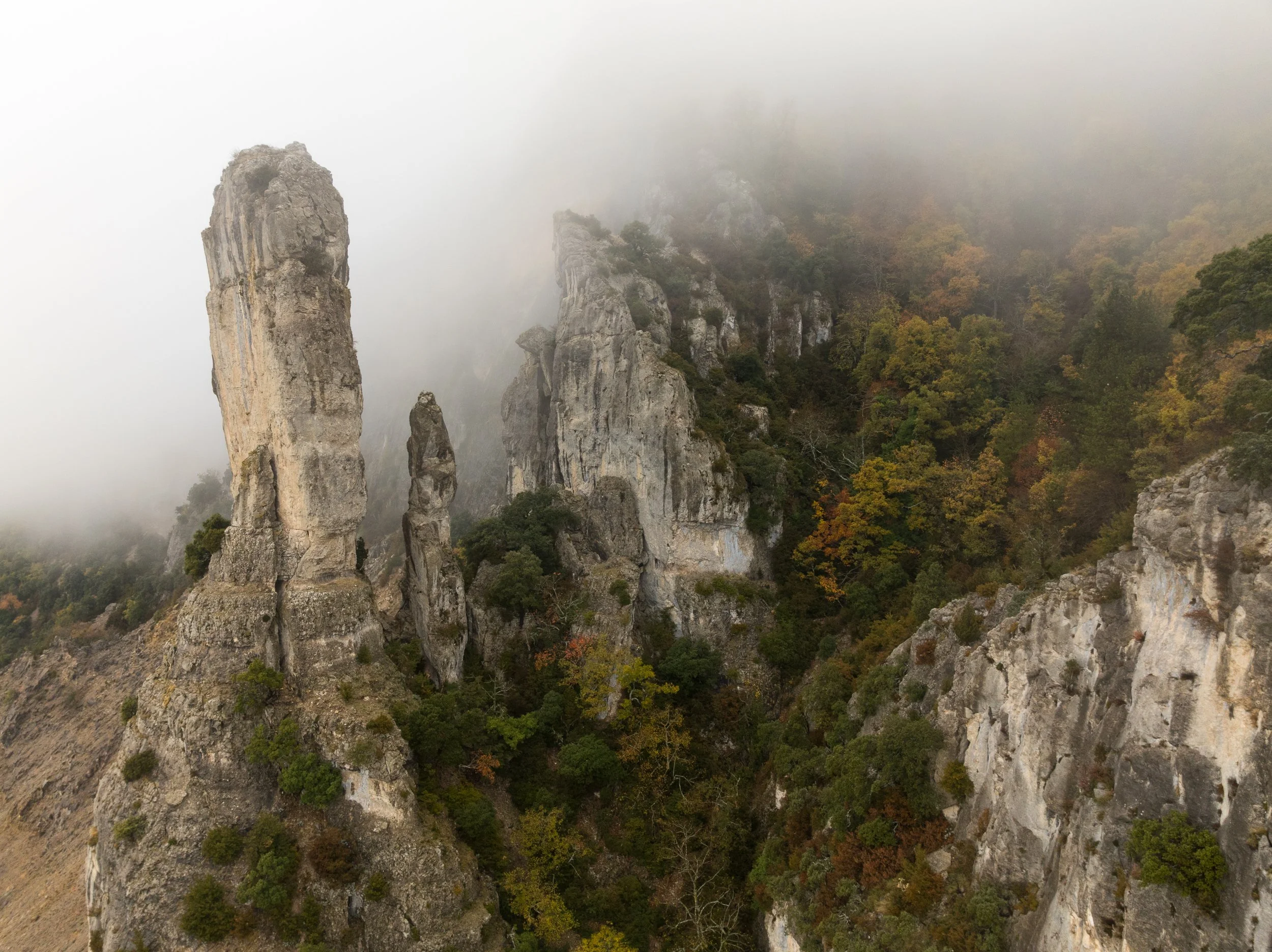 DJI_0478.jpg