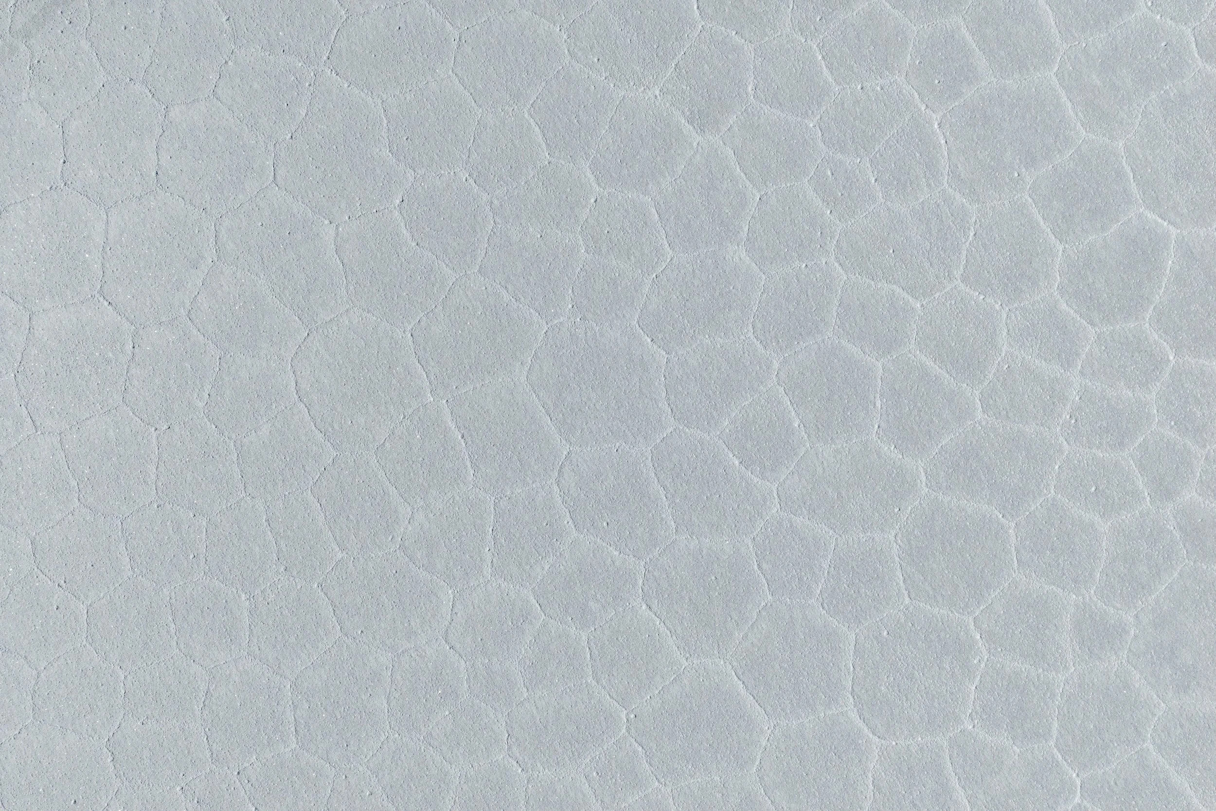 DJI_20260415202352_0139_D.jpg