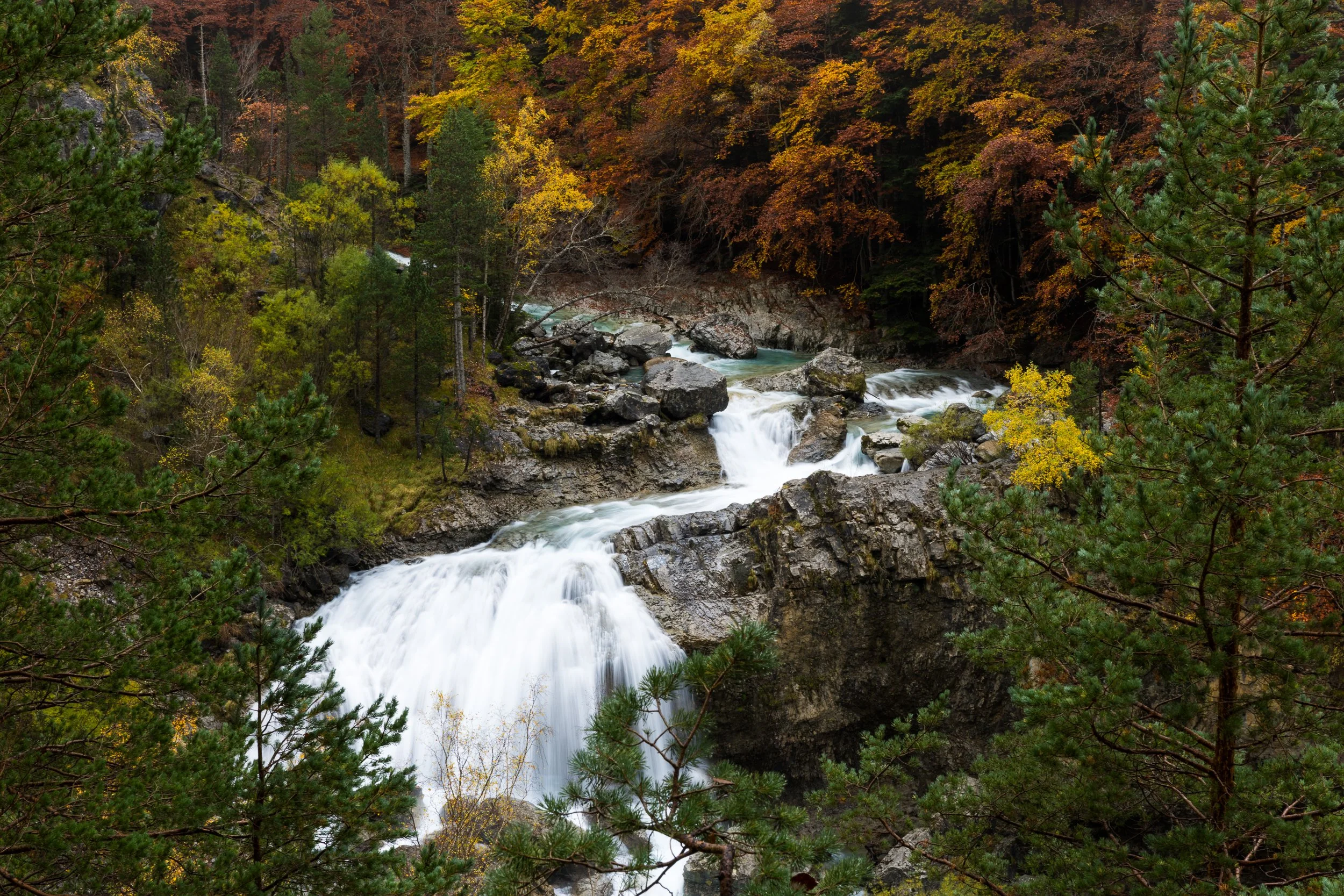 _GR50312.jpg