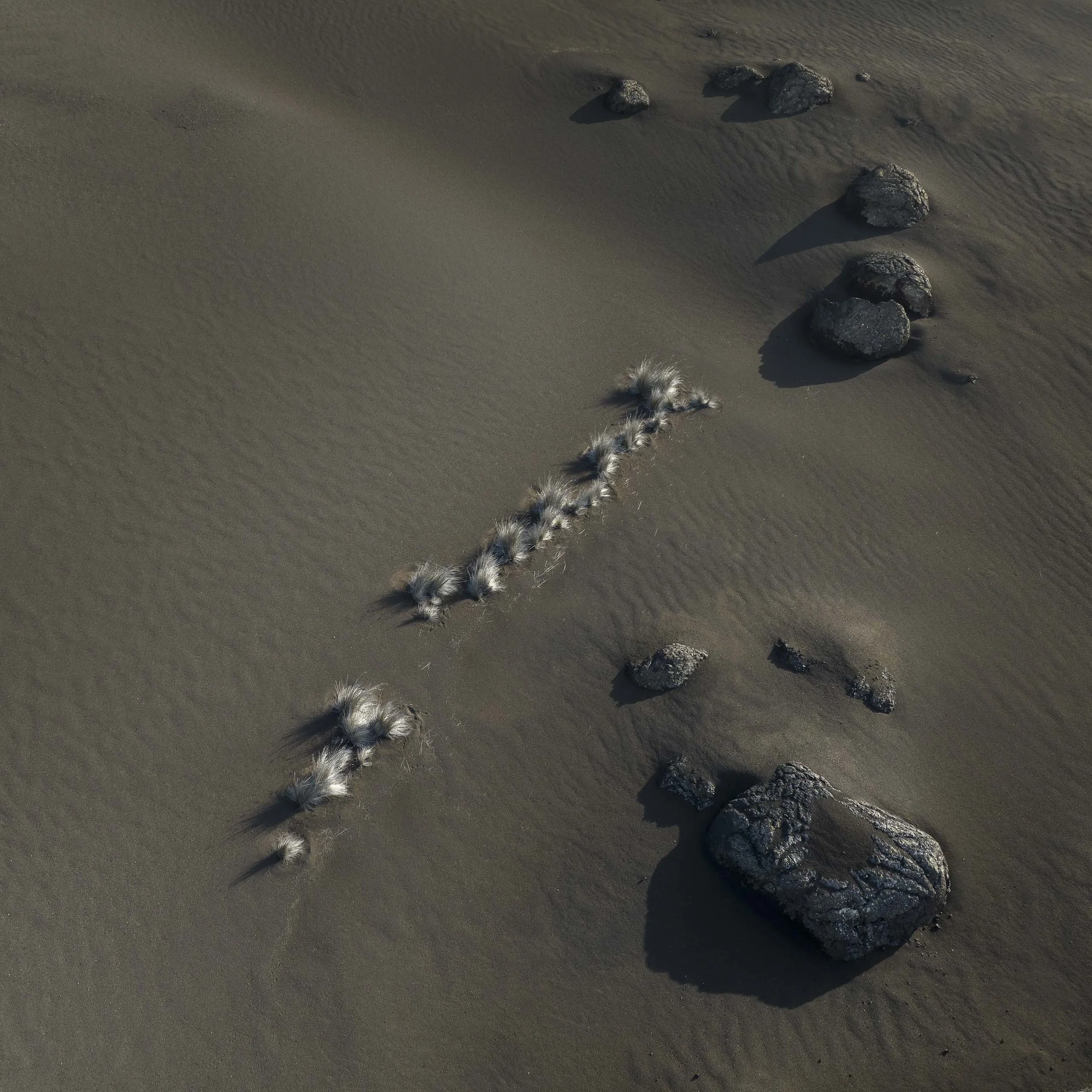 FOTOS PNT CAT131.jpg