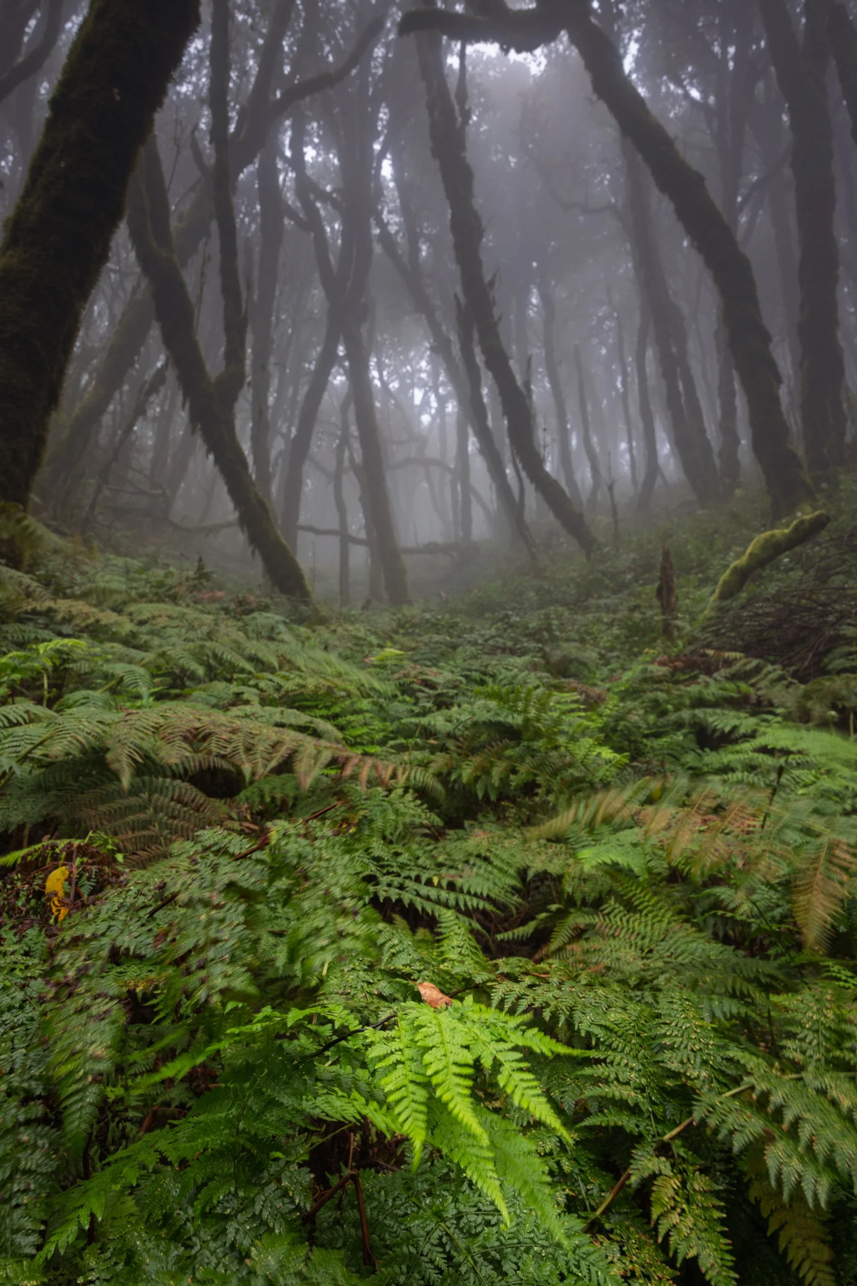 _GR50890.jpg