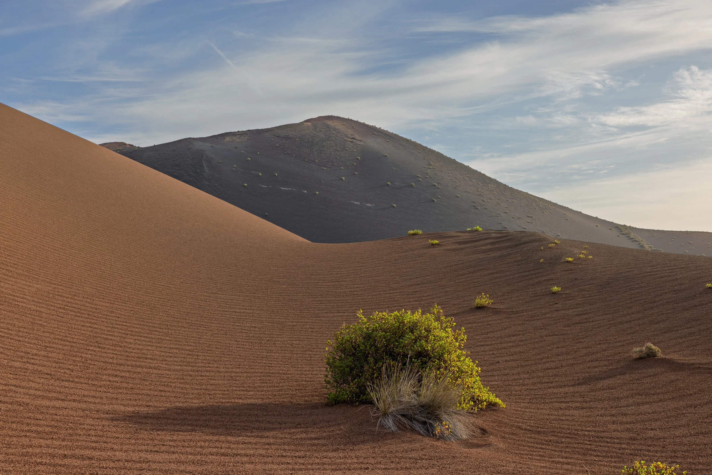 20231005_TIMANFAYA_0020-80.jpg
