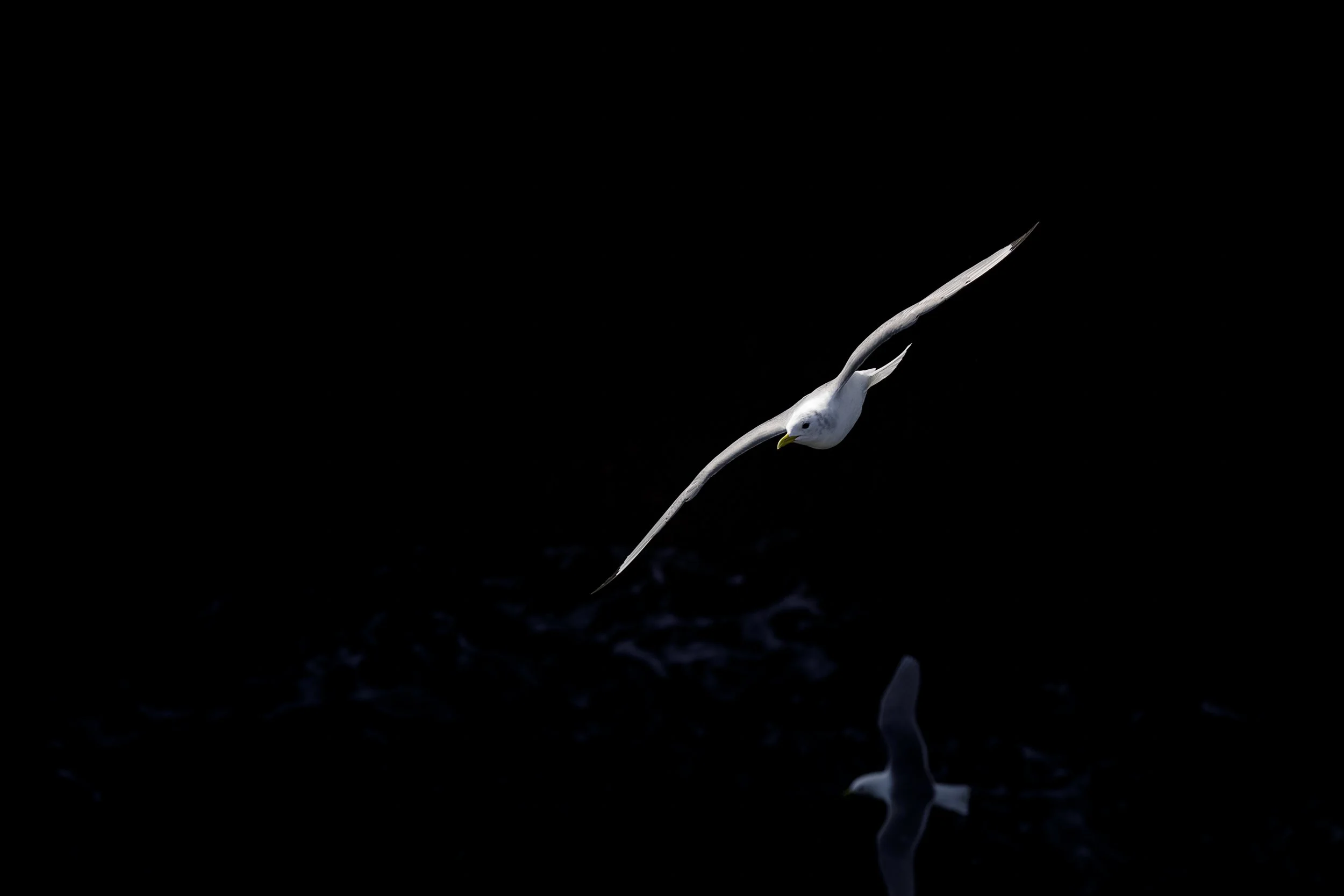 _DM46310-Editar-2.jpg