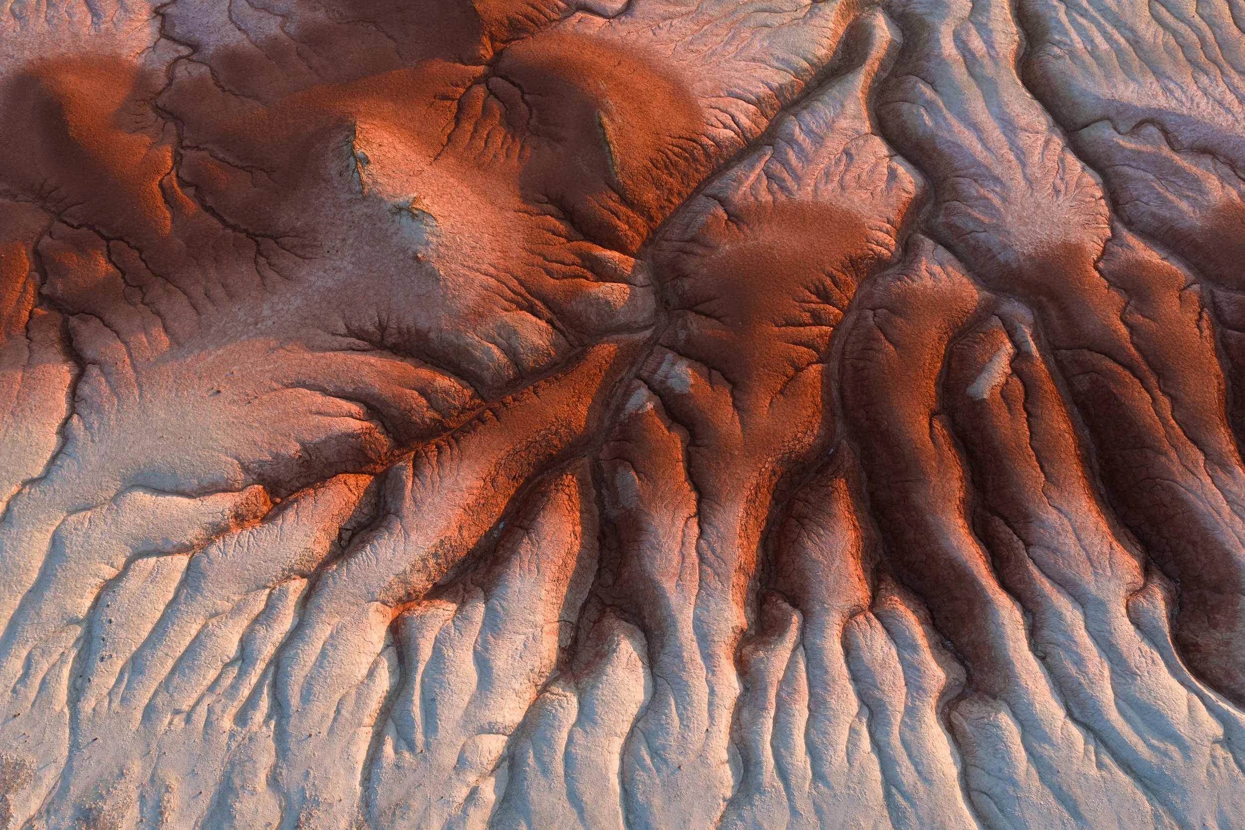 DJI_20260507062922_0860_D.jpg
