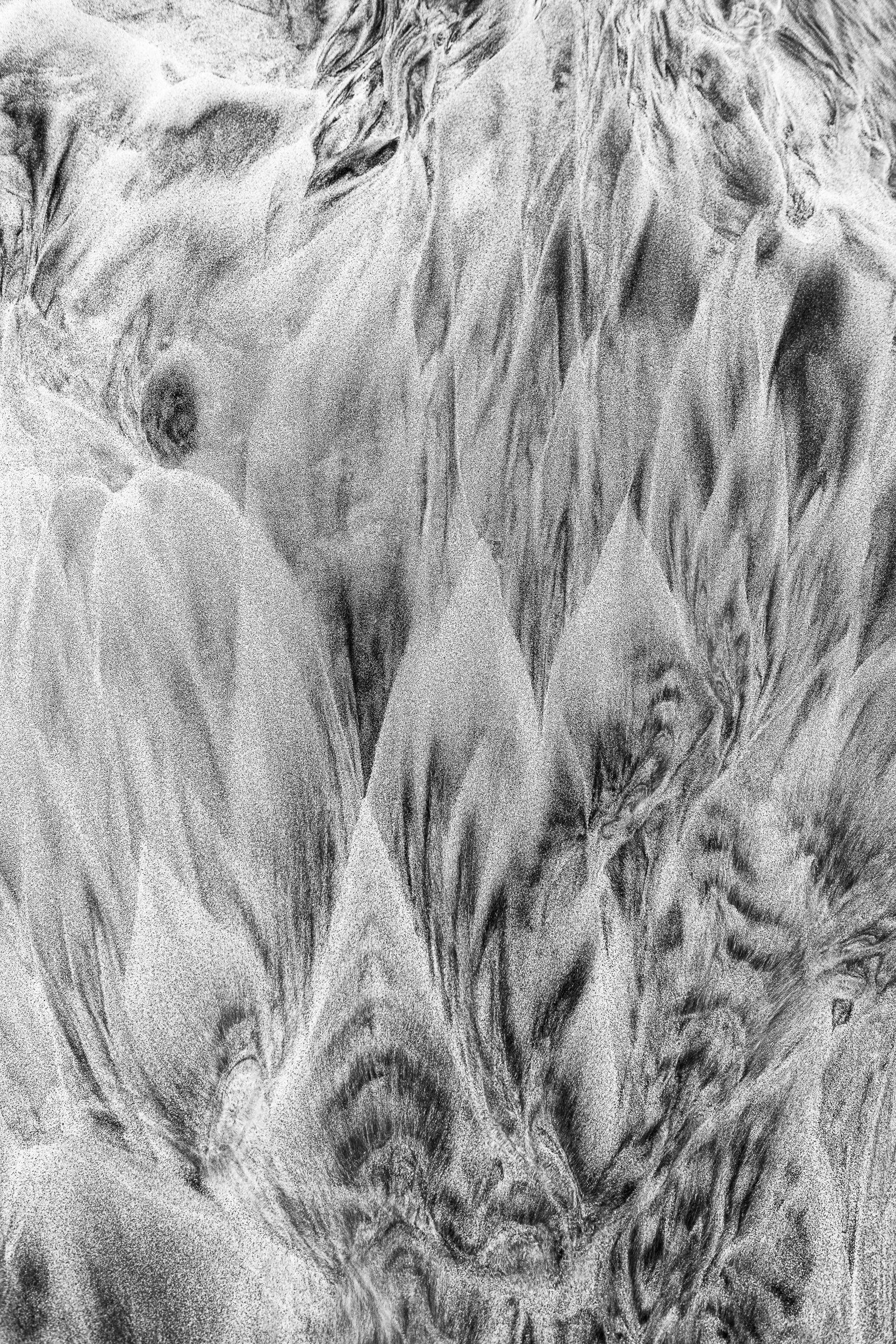 _DM43770-Editar.jpg