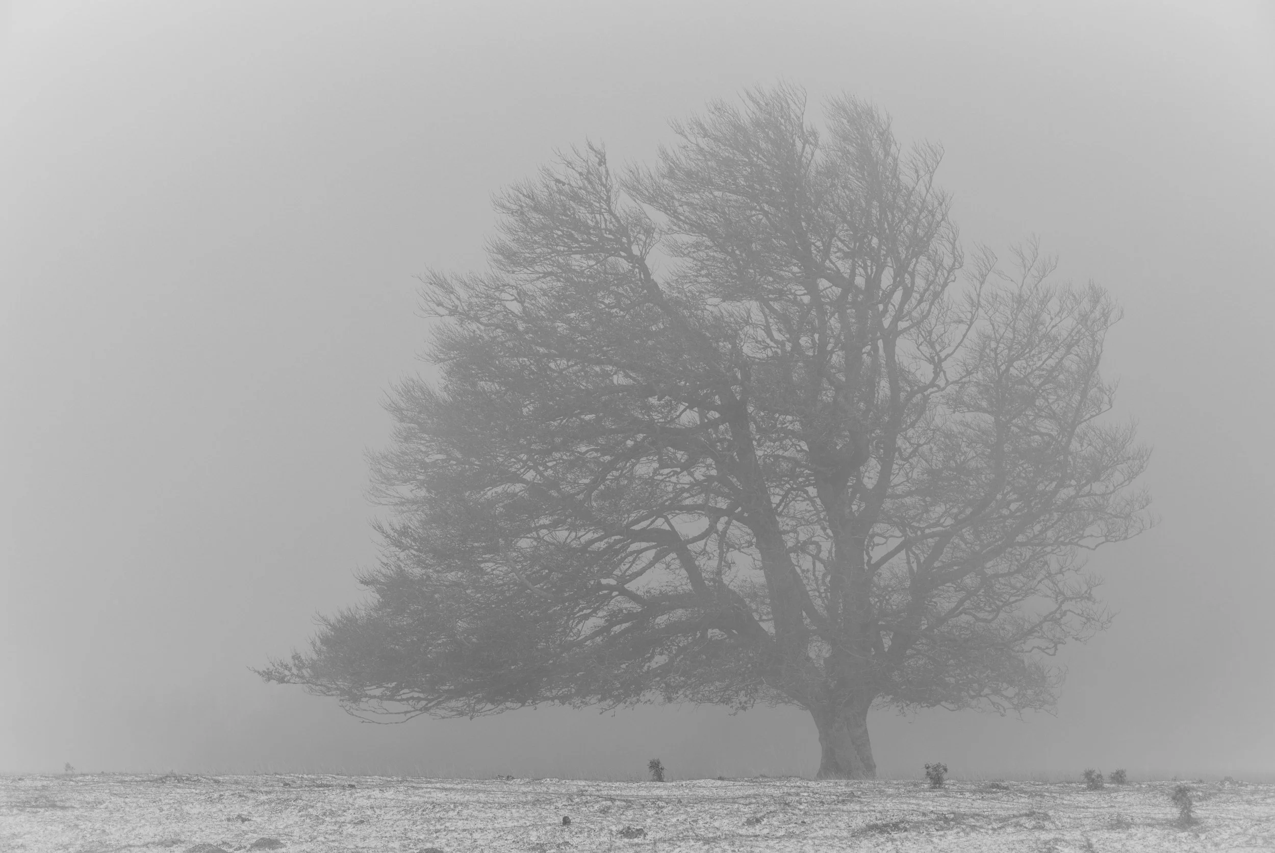 _DM49341-Edit.jpg