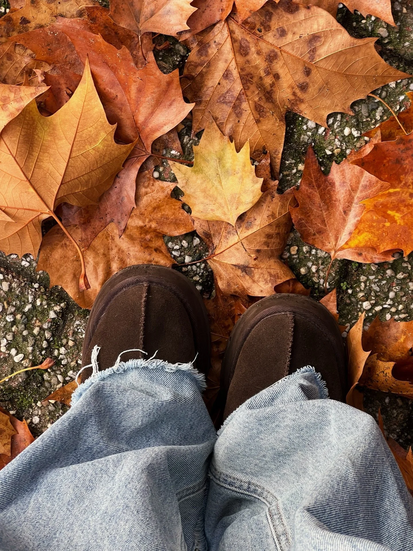 November in moments 🤎