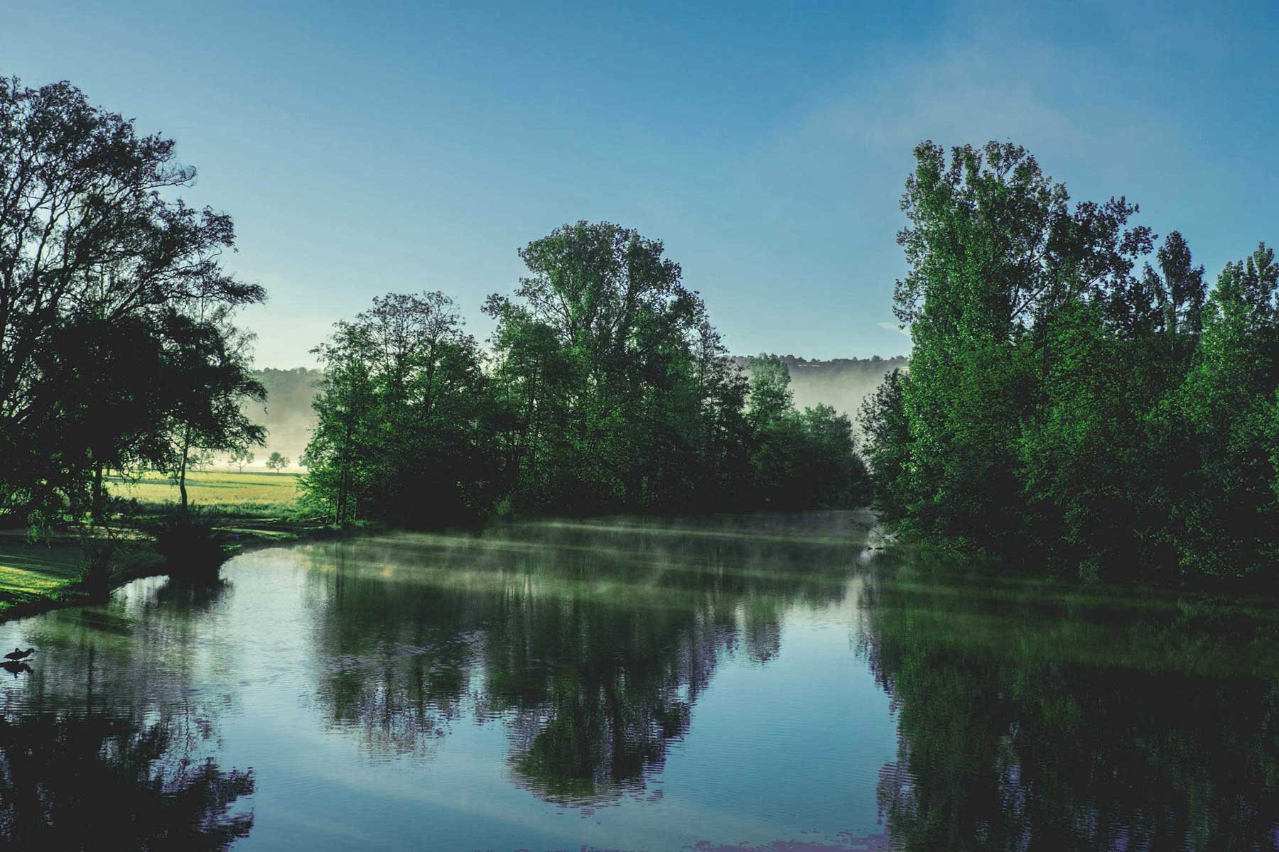 Mist rising over calm river surrounded by trees