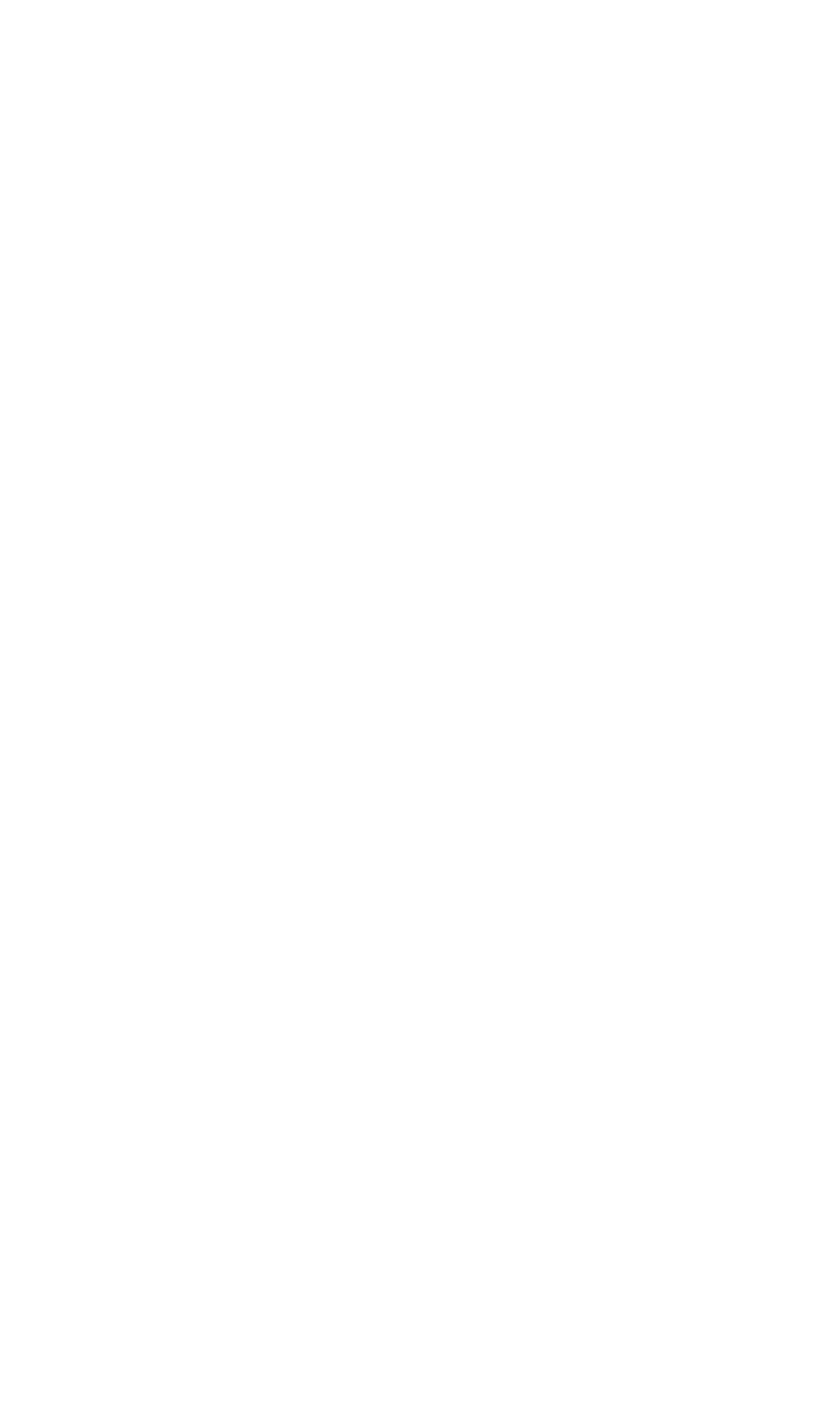 White fern graphic