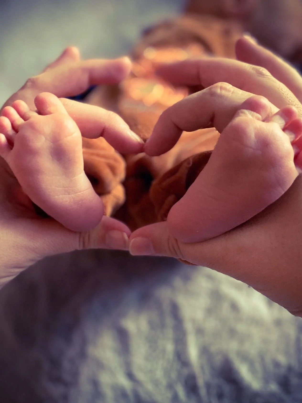 schlafcoaching, schlafcoach, Babyschlaf, Familiencoaching, Familienbegleitung, hochsensibel, hochsensibilität, Landshut, Vilsbiburg