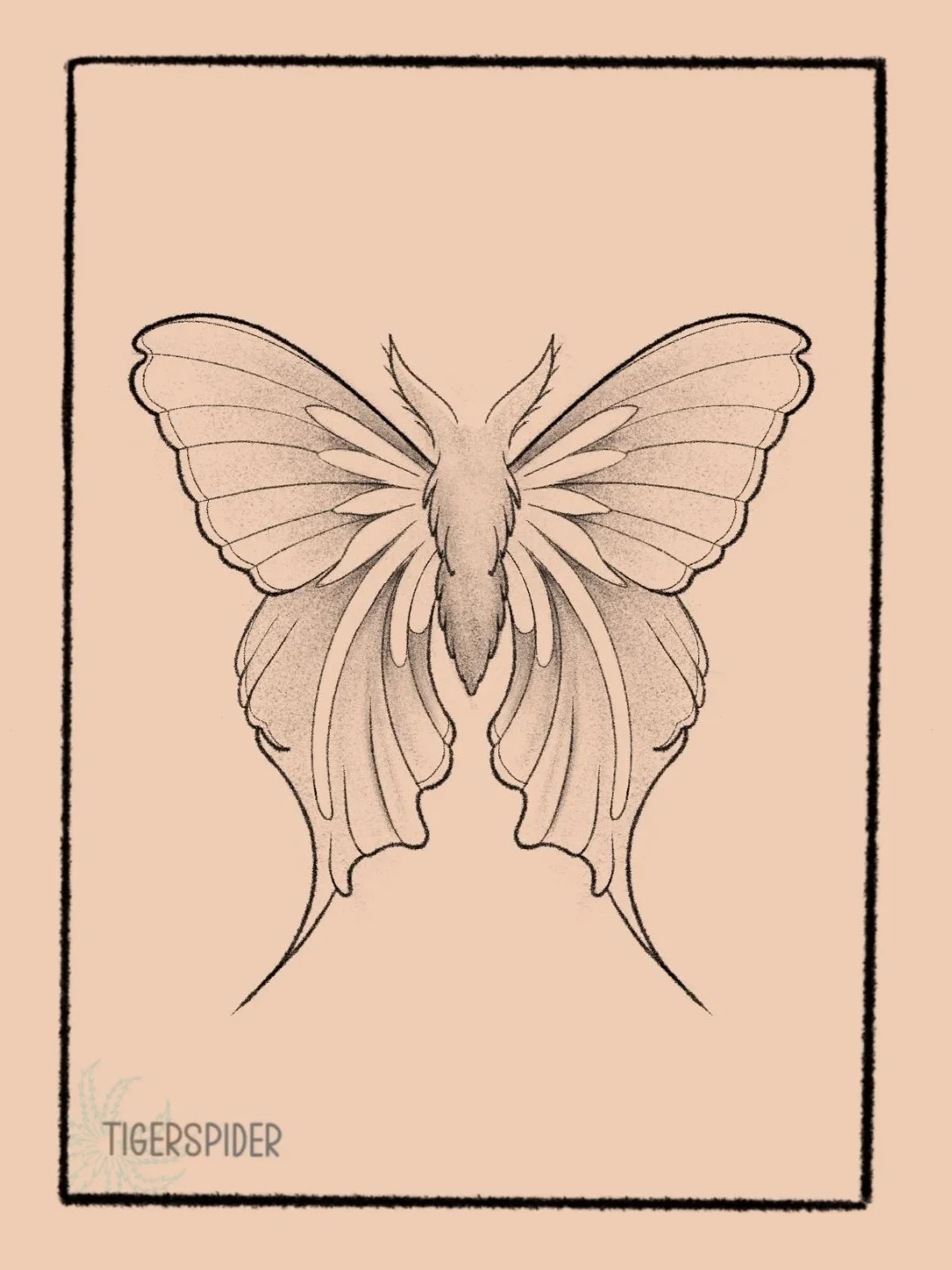 Moth 5 inch min 120