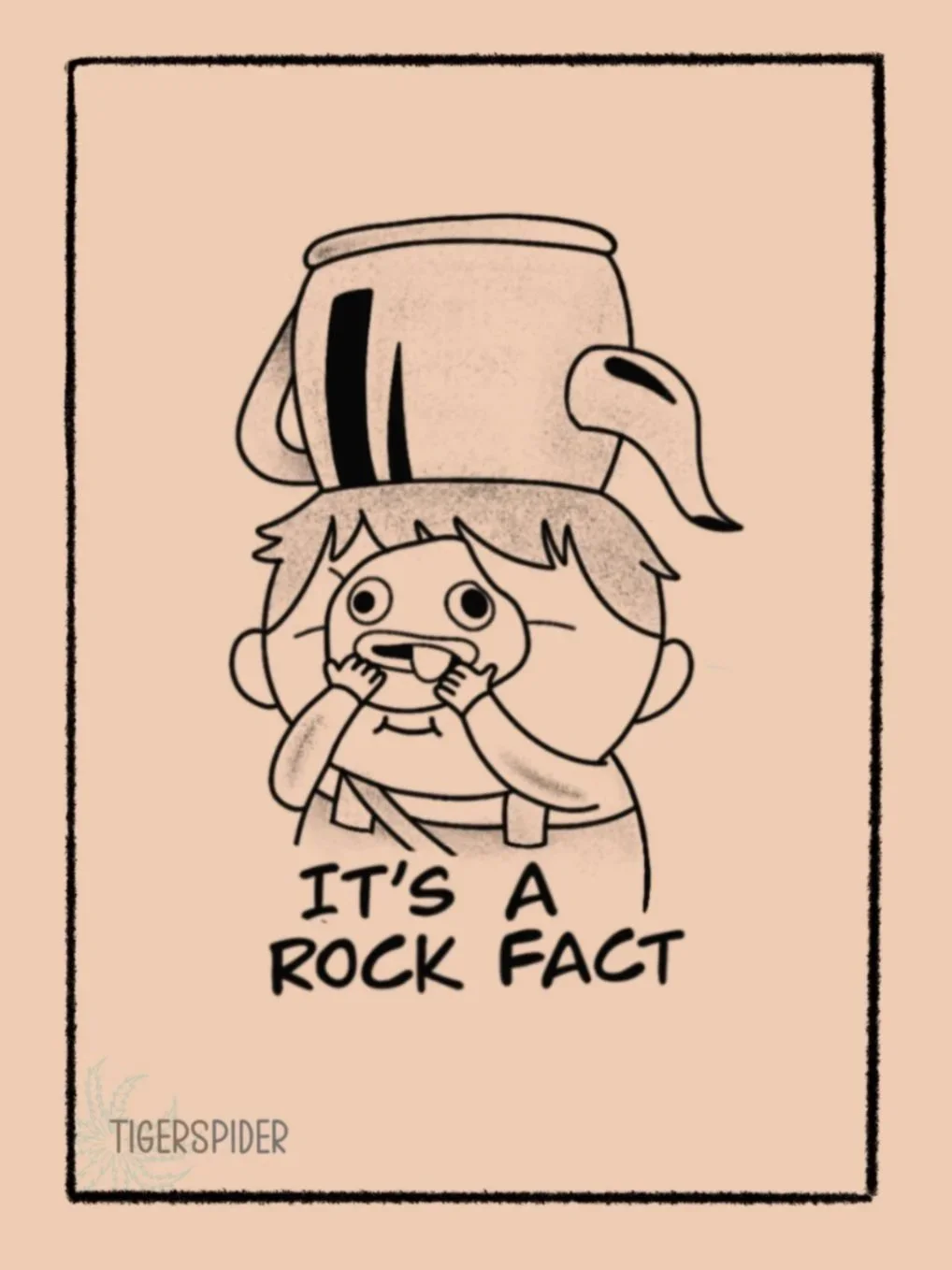Rock Fact 3 inch min 100
