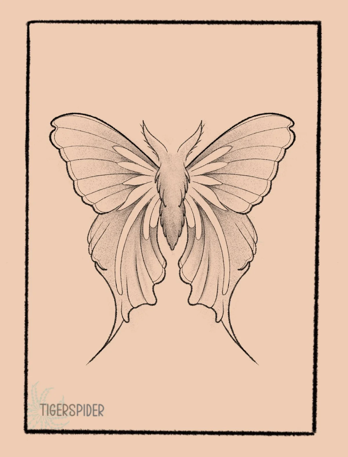 Moth 5 inch min 120