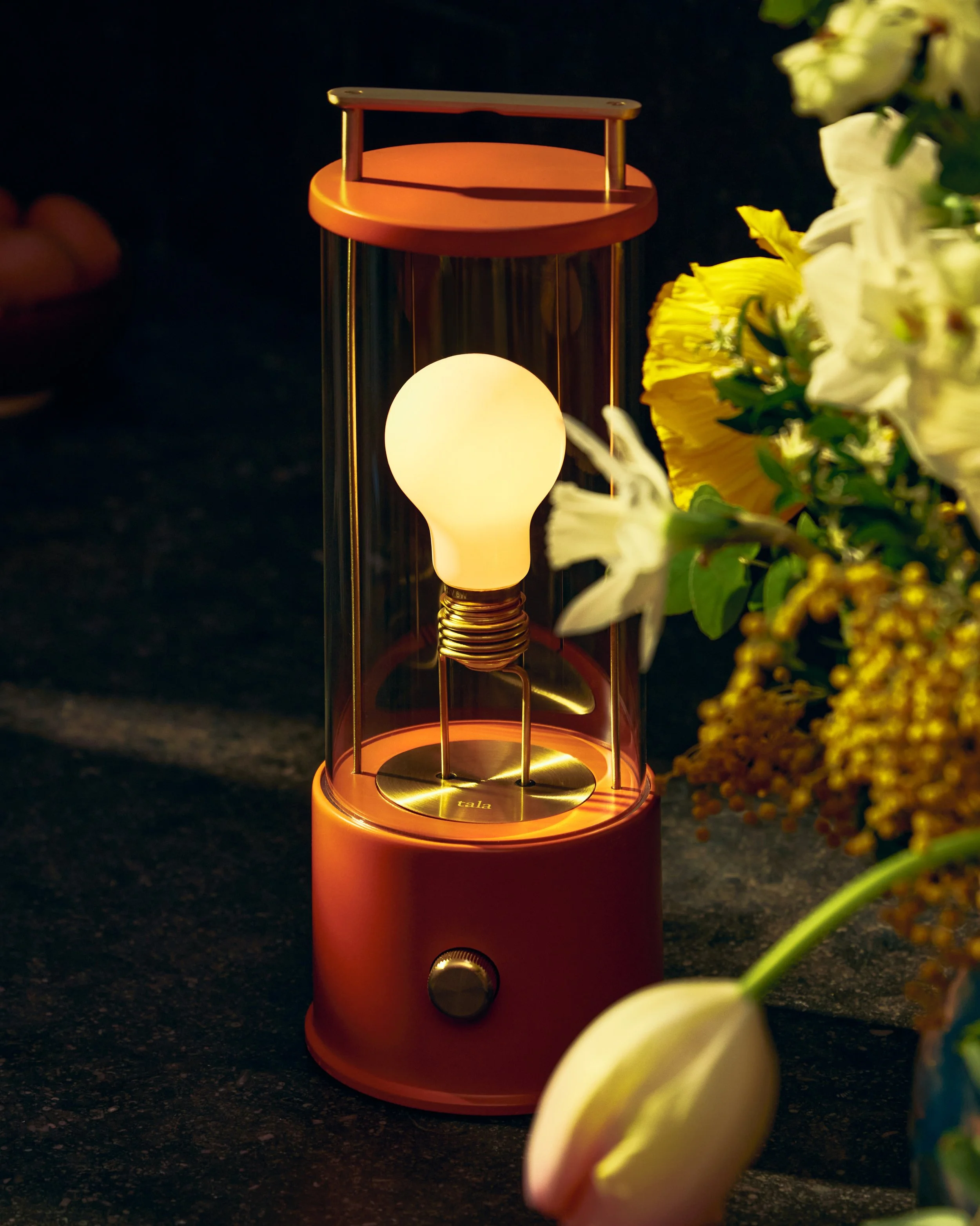Tala Lighting - 'Muse 2.0' Launch Campaign