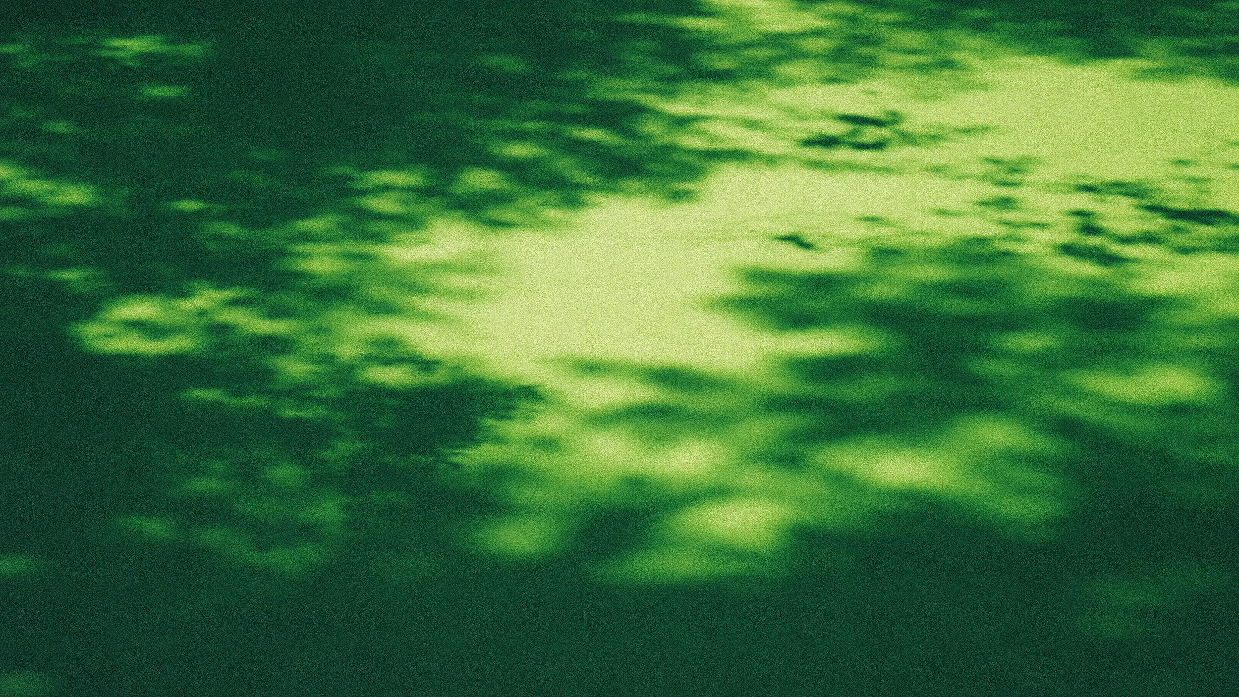 Green-lit surface of water with ripples and reflections.