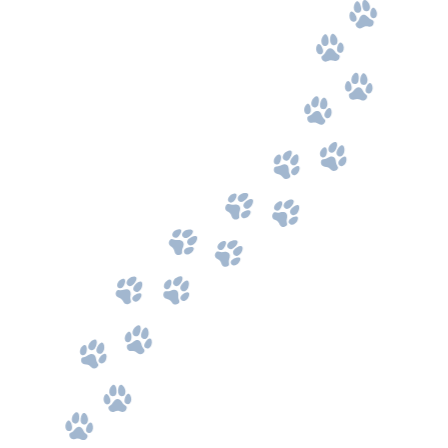 A trail of light blue paw prints on a black background.