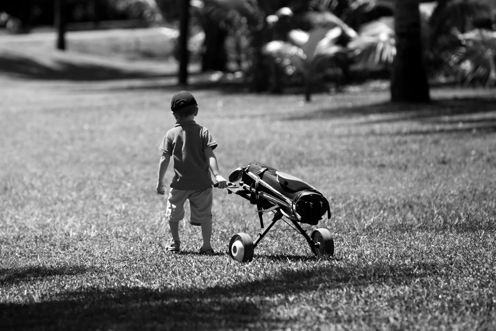 In memoriam: Innes Scally Lynch - The Golfer who never was