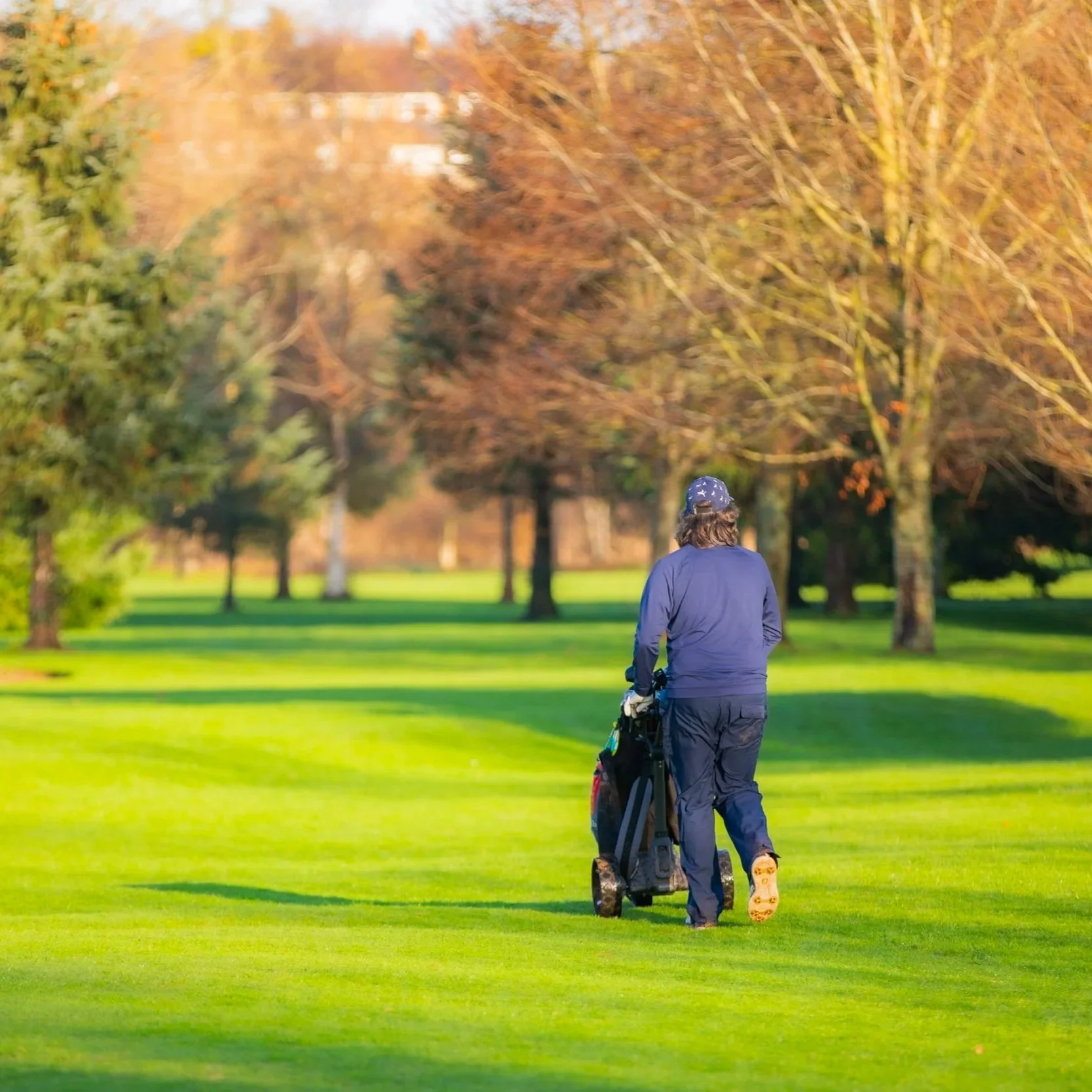 A person wearing a blue jacket, pants, and a helmet, walking on a golf course with a golf bag on a cart during autumn with trees in the background.
