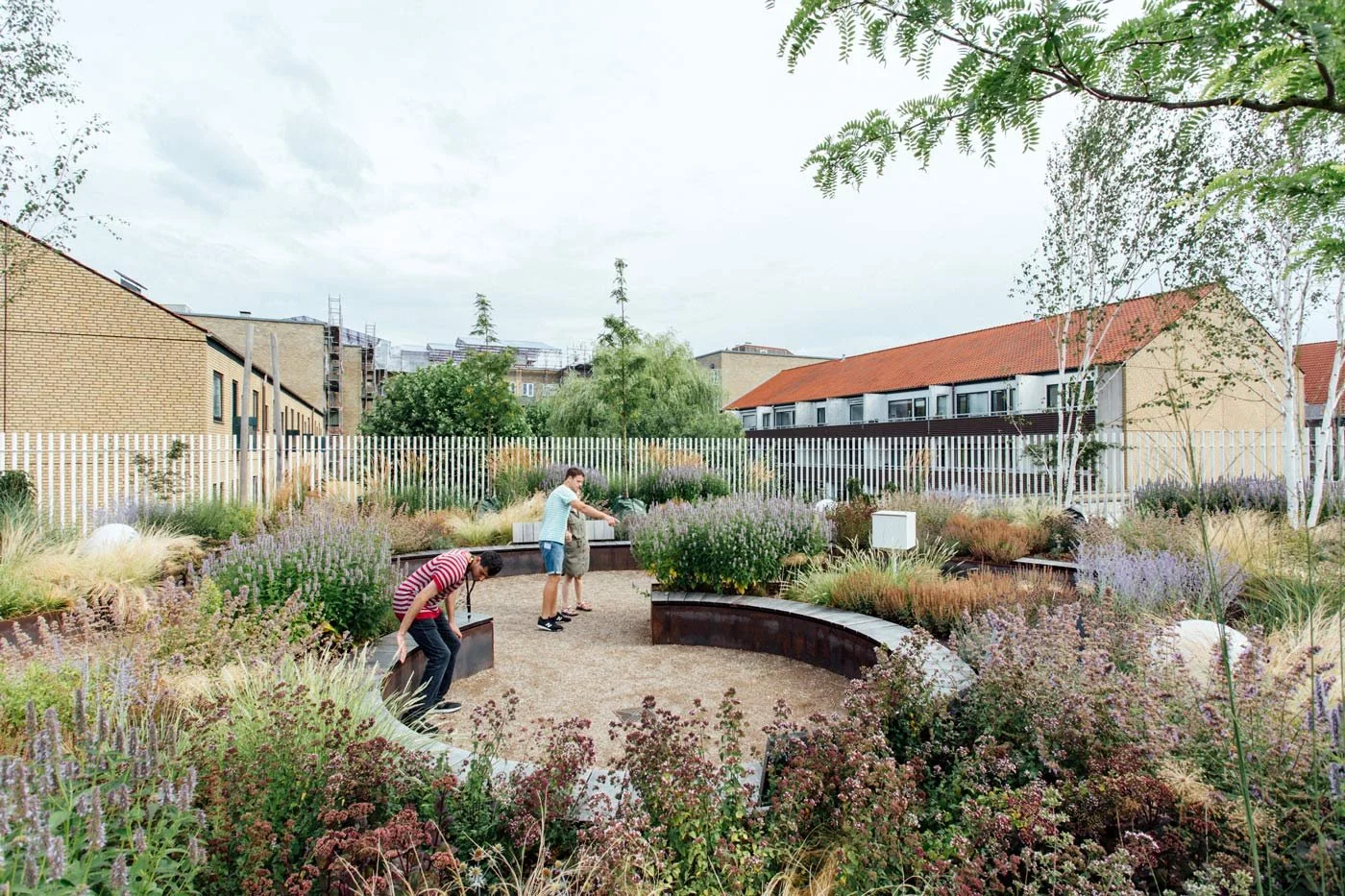 People gardening in a community garden with various plants and flowers, surrounded by a white fence and residential buildings in the background.
