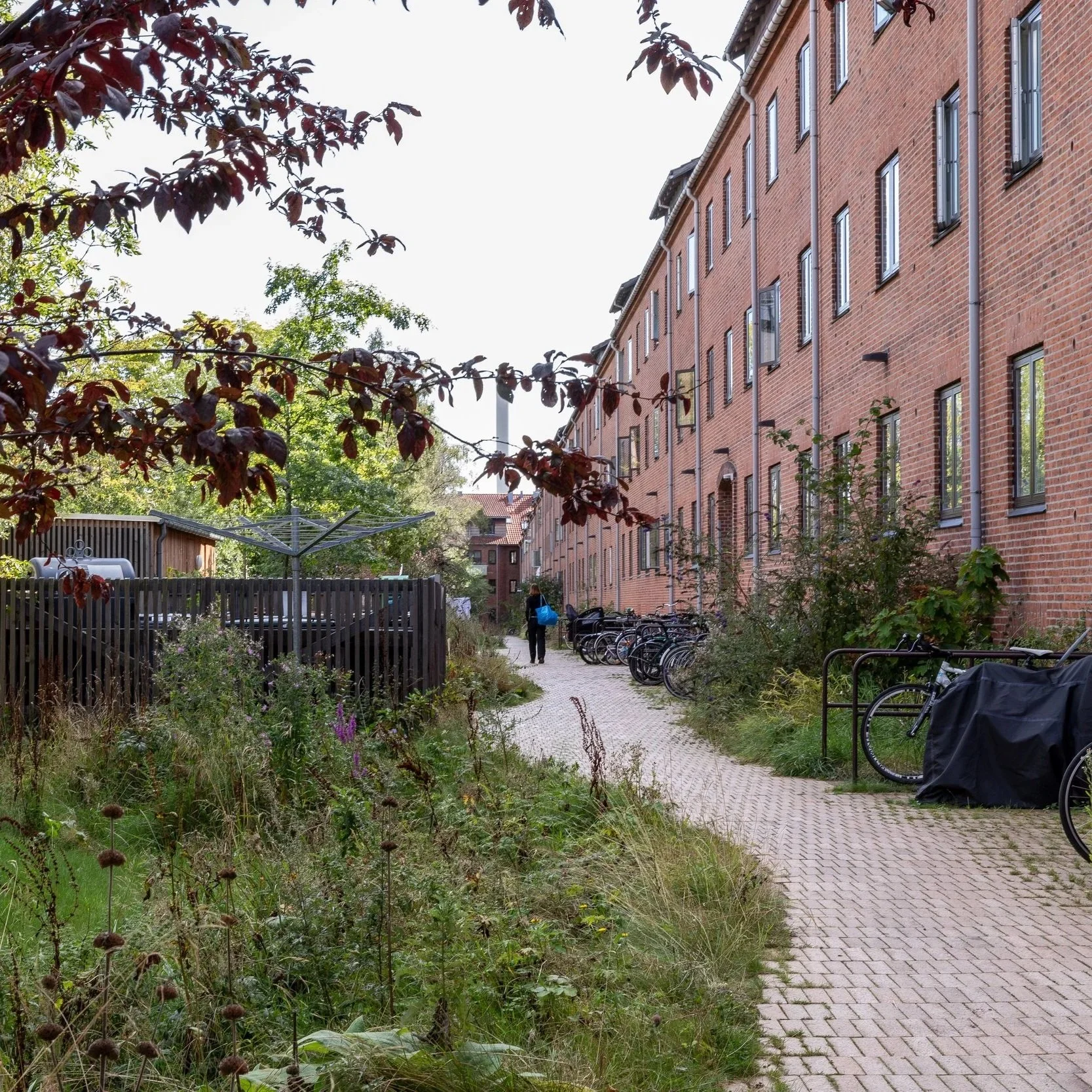 Nattergalevej Climate Courtyard