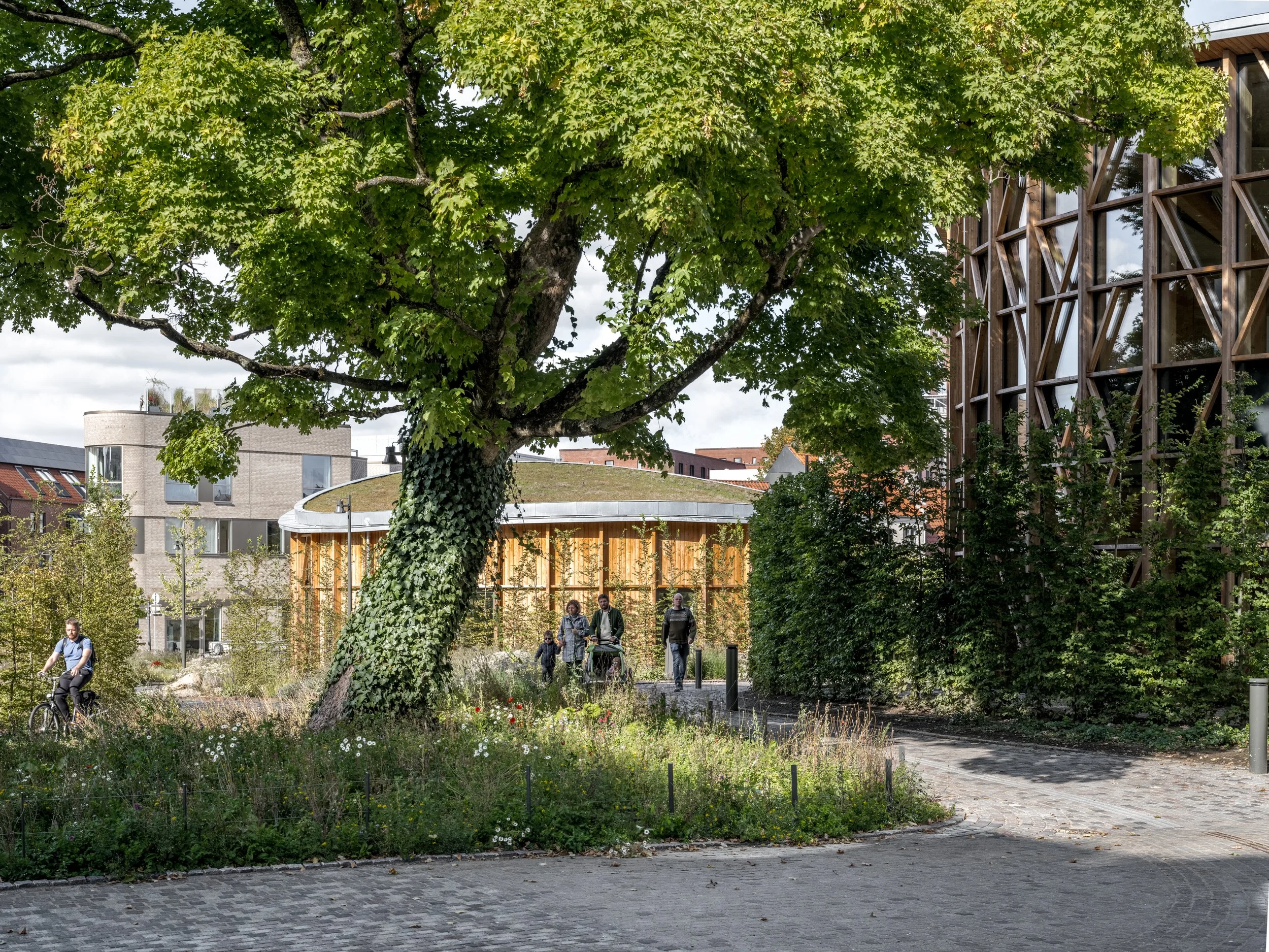 Hans Christian Andersen Museum, Odense . 
People walking and biking in a park with a large tree, surrounded by modern buildings and greenery.