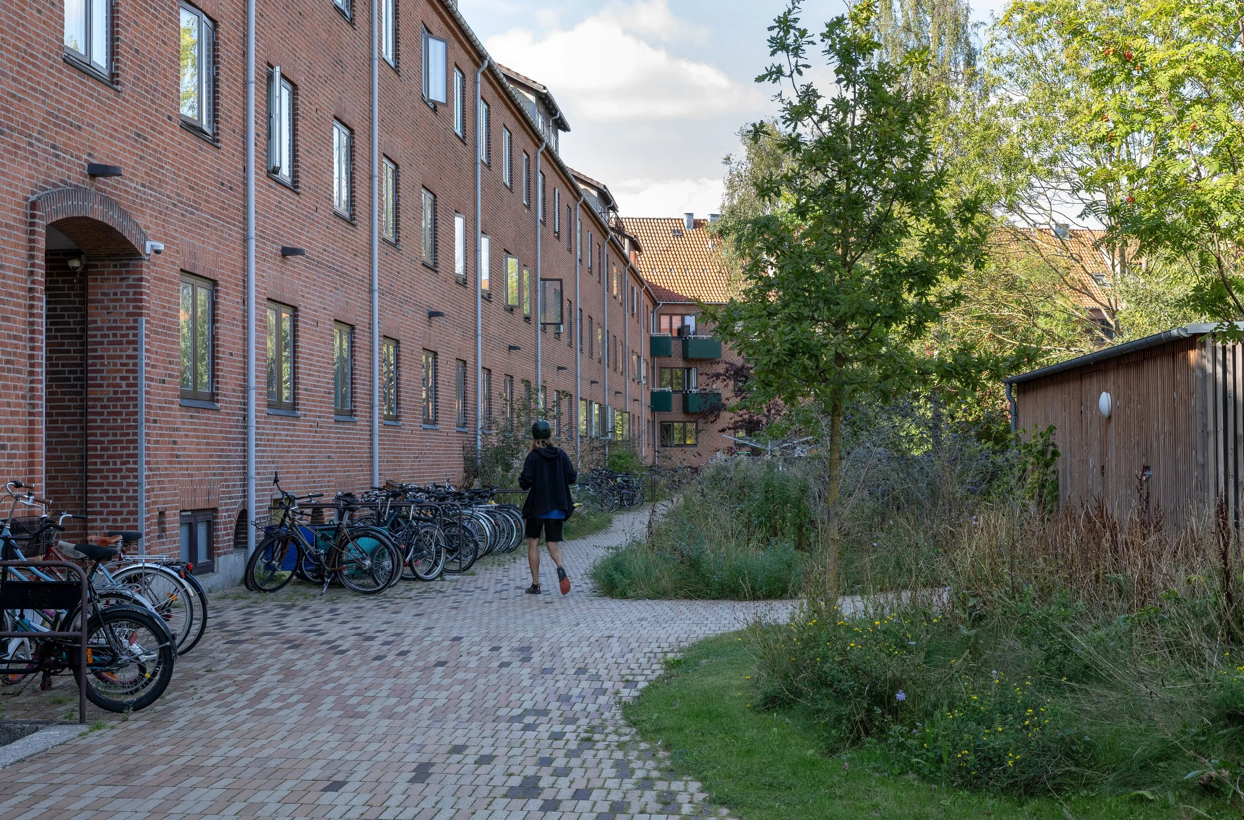 Nattergalevej Klimasikring_MASU_Planning_Kirstine Autzen 06b.jpg