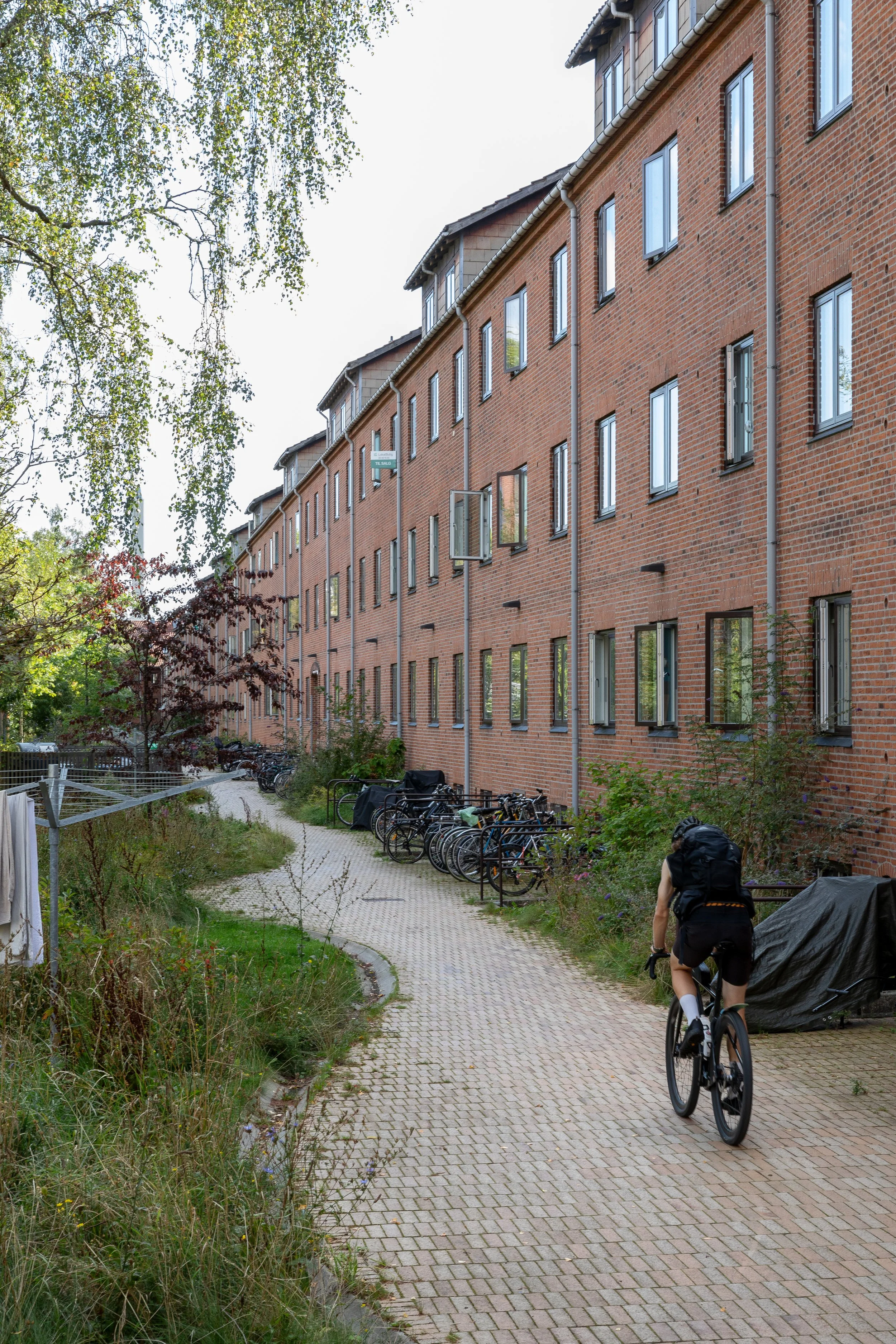 Nattergalevej Klimasikring_MASU_Planning_Kirstine Autzen 11.jpg