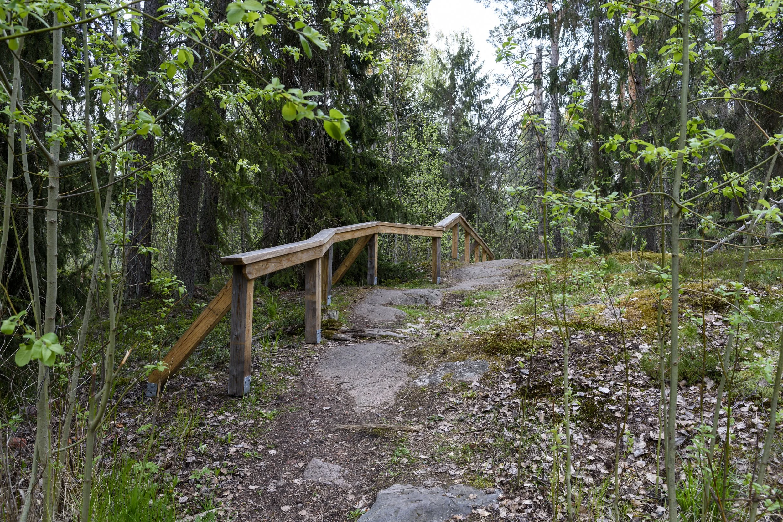_DSC5818_.jpg