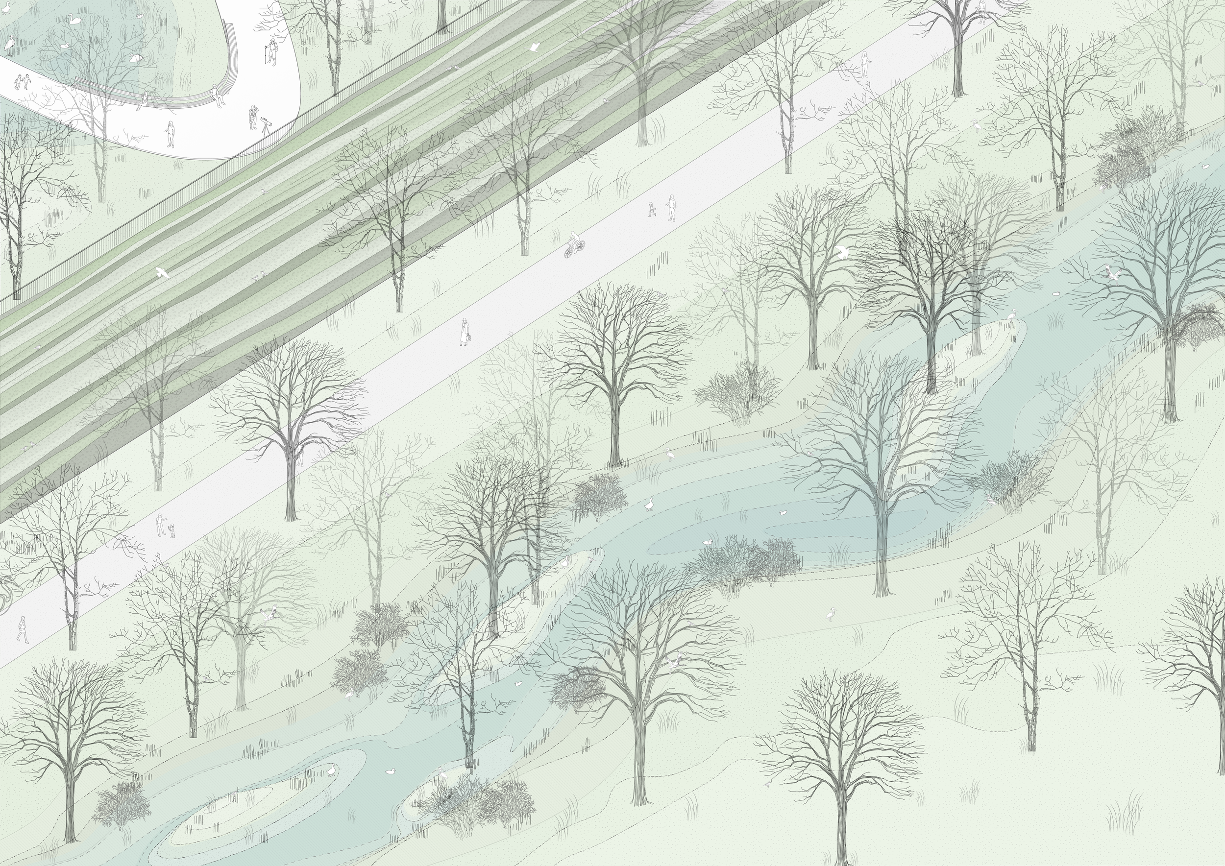 20240924_COM151_River Axo_A3.png