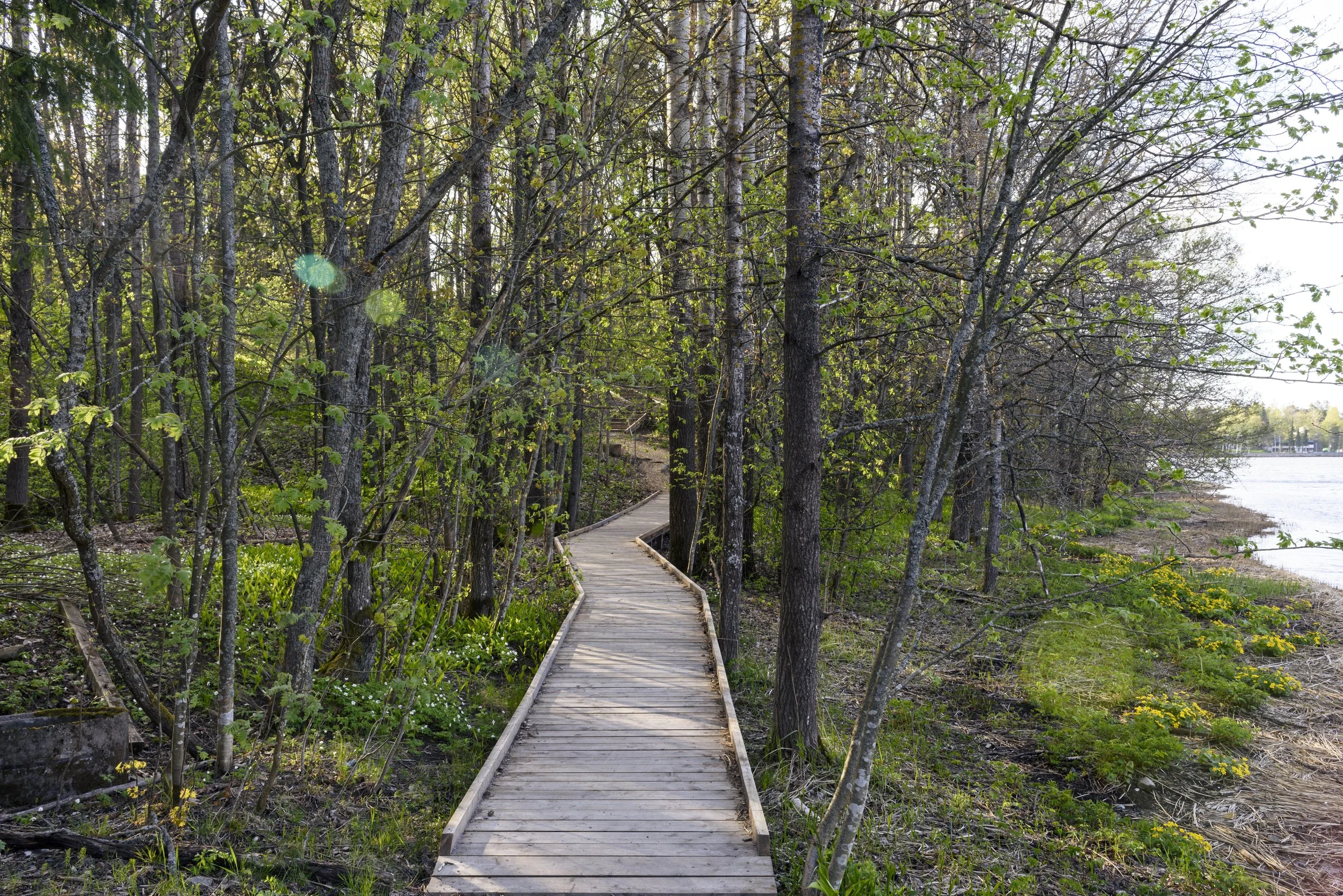 _DSC5492_.jpg
