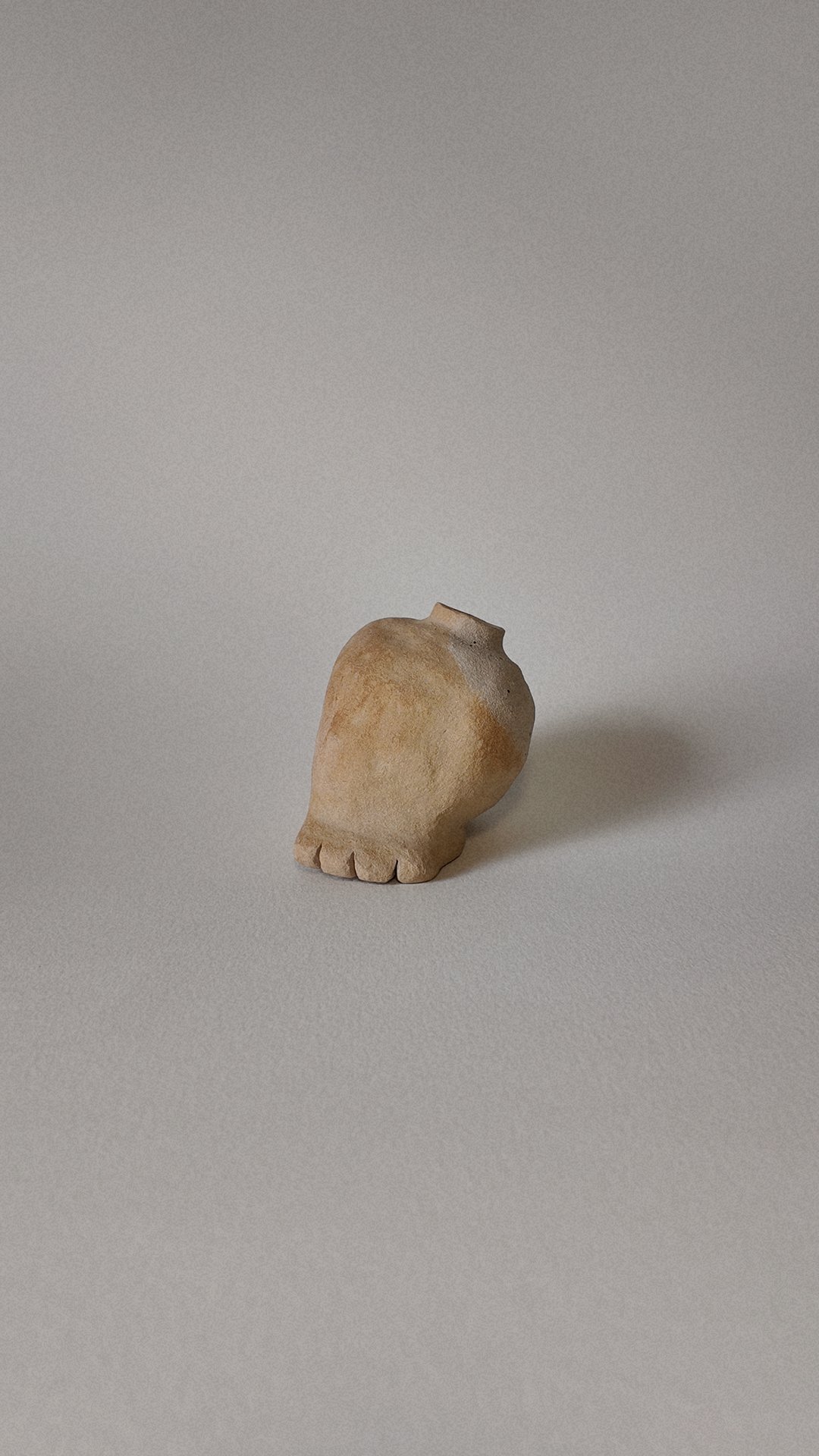 A small animal skull, possibly a bird or small mammal, placed on a plain surface with neutral lighting.