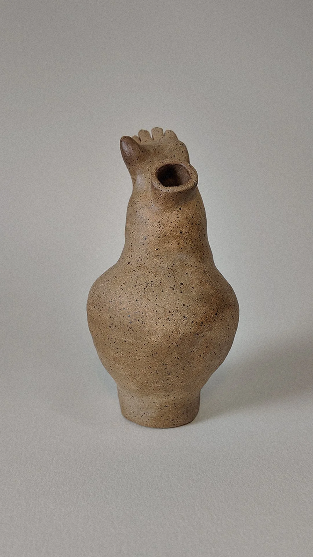 A uniquely shaped ceramic vase resembling a bird with a hollow opening for a beak and a small rounded protrusion on top, on a light-colored surface against a neutral background.