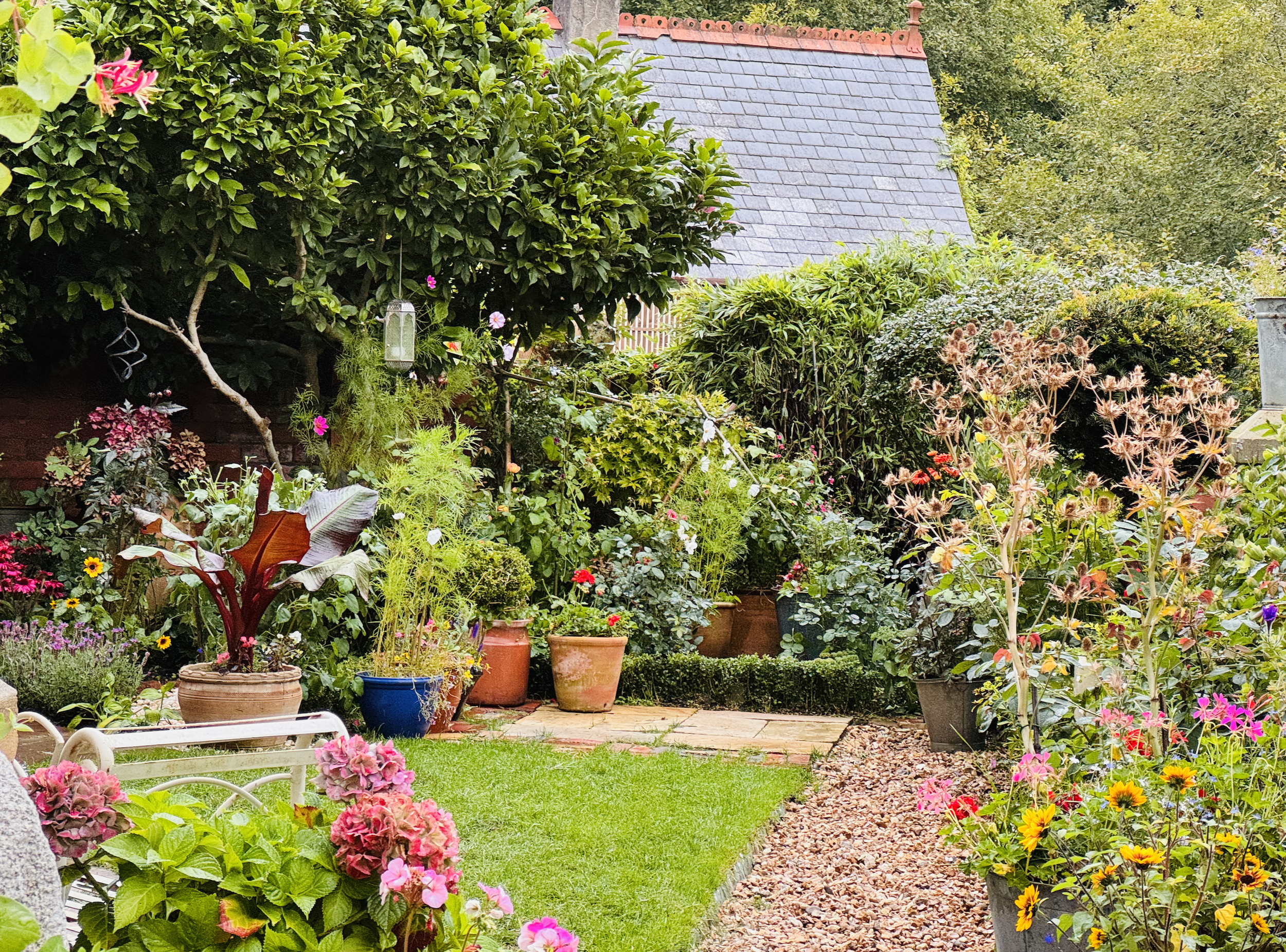 Walled garden, North Wales.