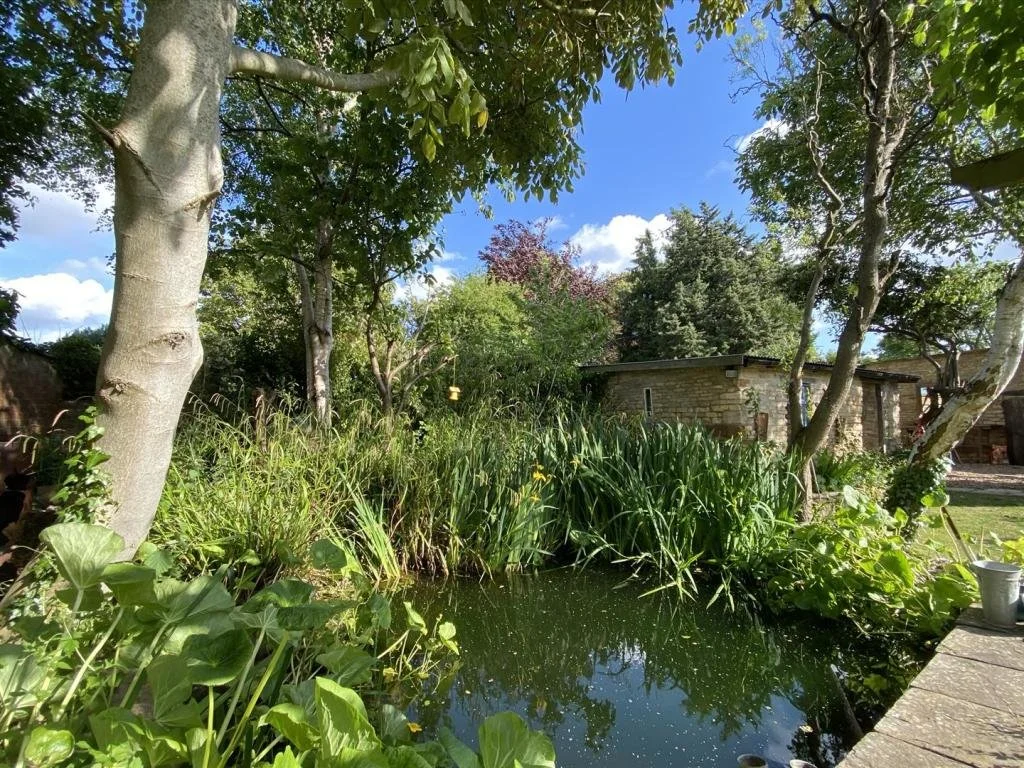 Koi pond, planting and garden house, Rutland.