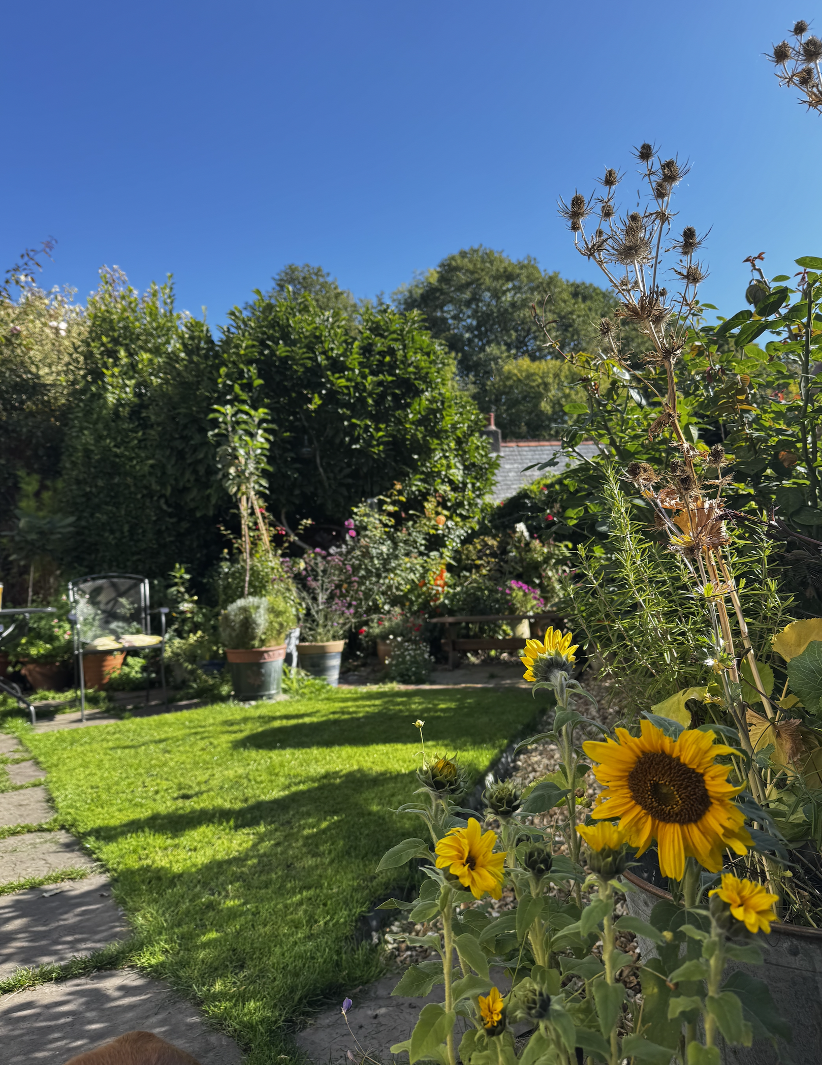 Garden overlooking River Dee and Llangollen Canal, North Wales.