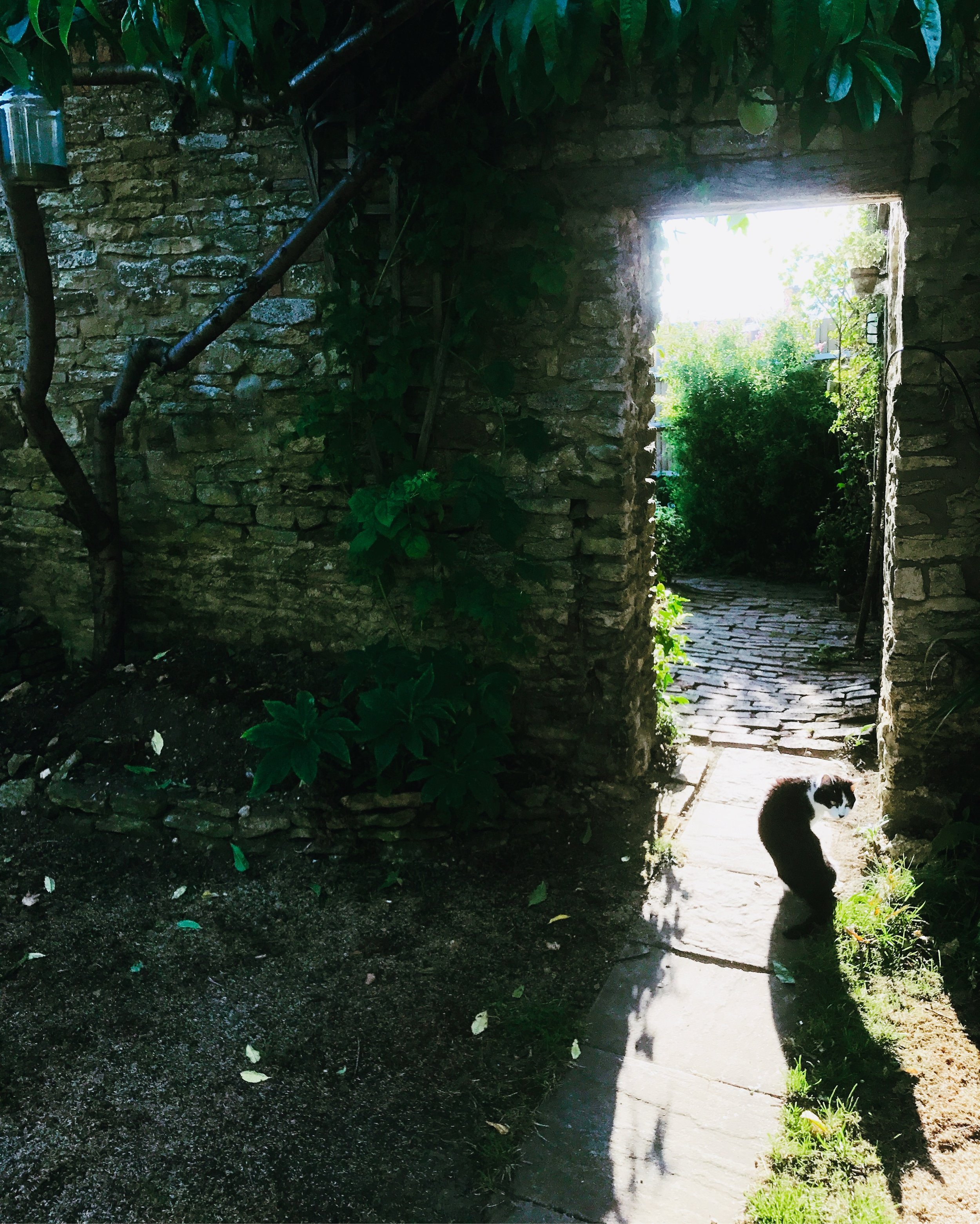 Its all about the light, time of day, Rutland walled garden.