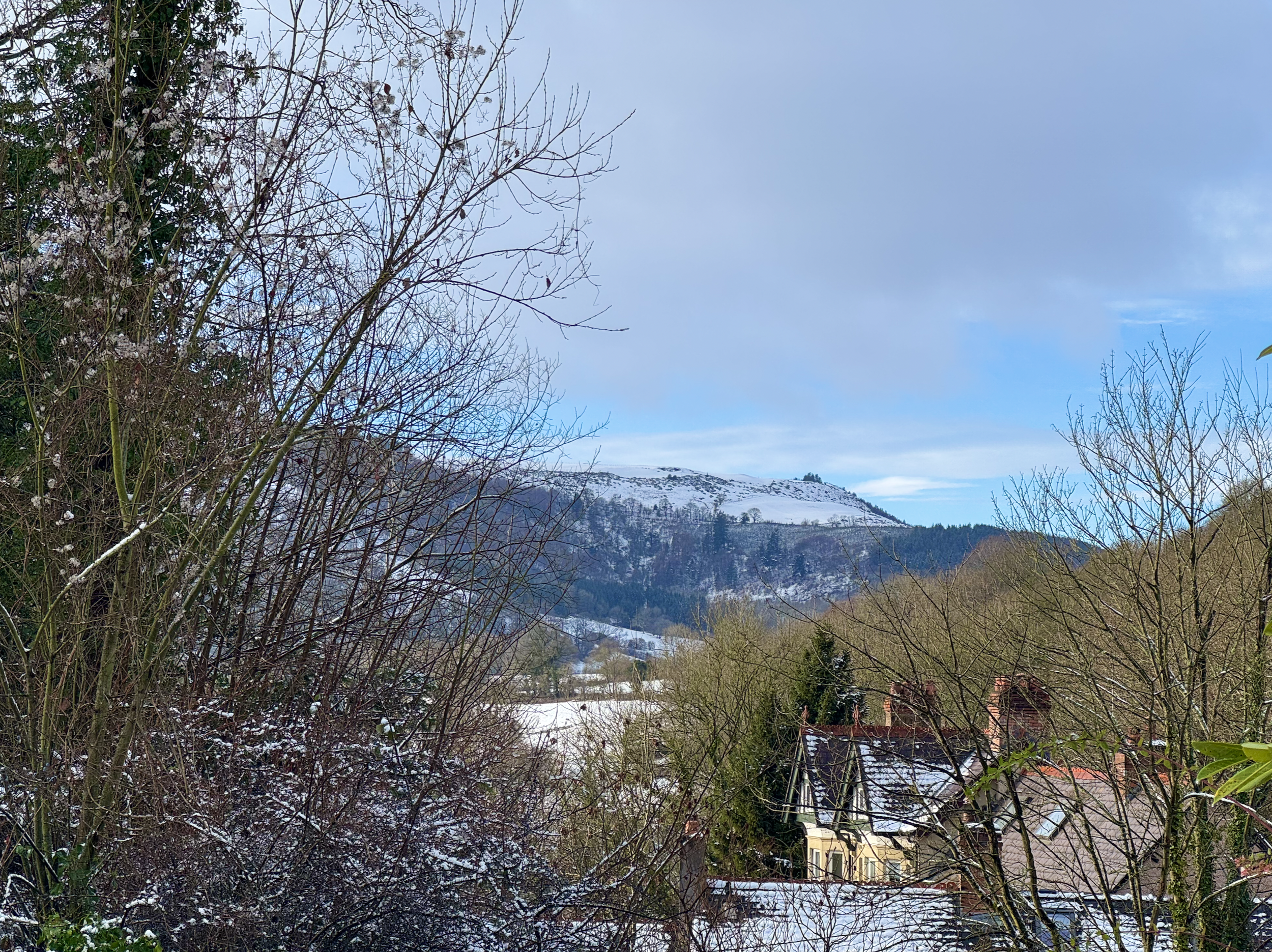 Screenshot 2026-01-06 at 11.17.25.png