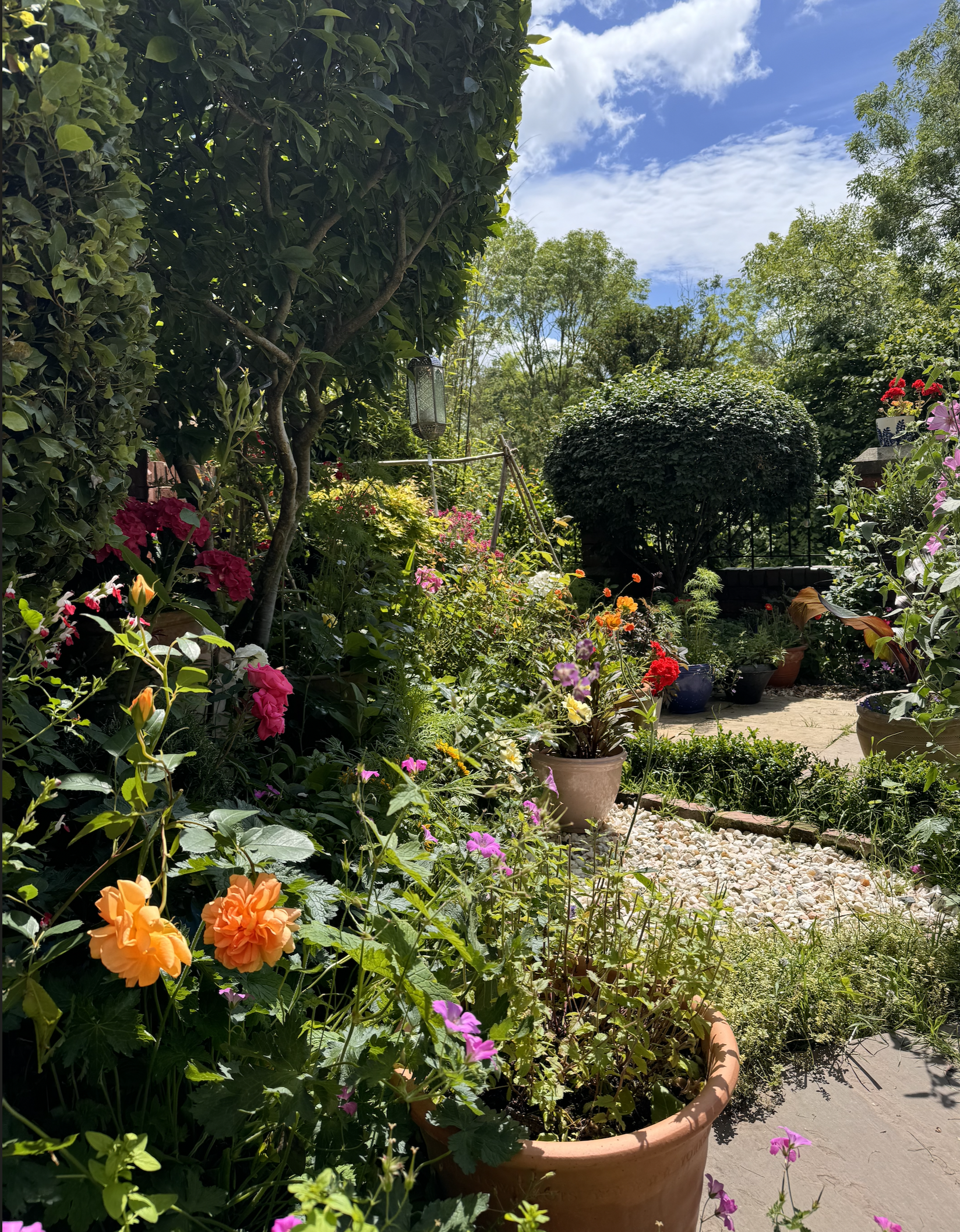 Small garden overlooking River Dee, North Wales.