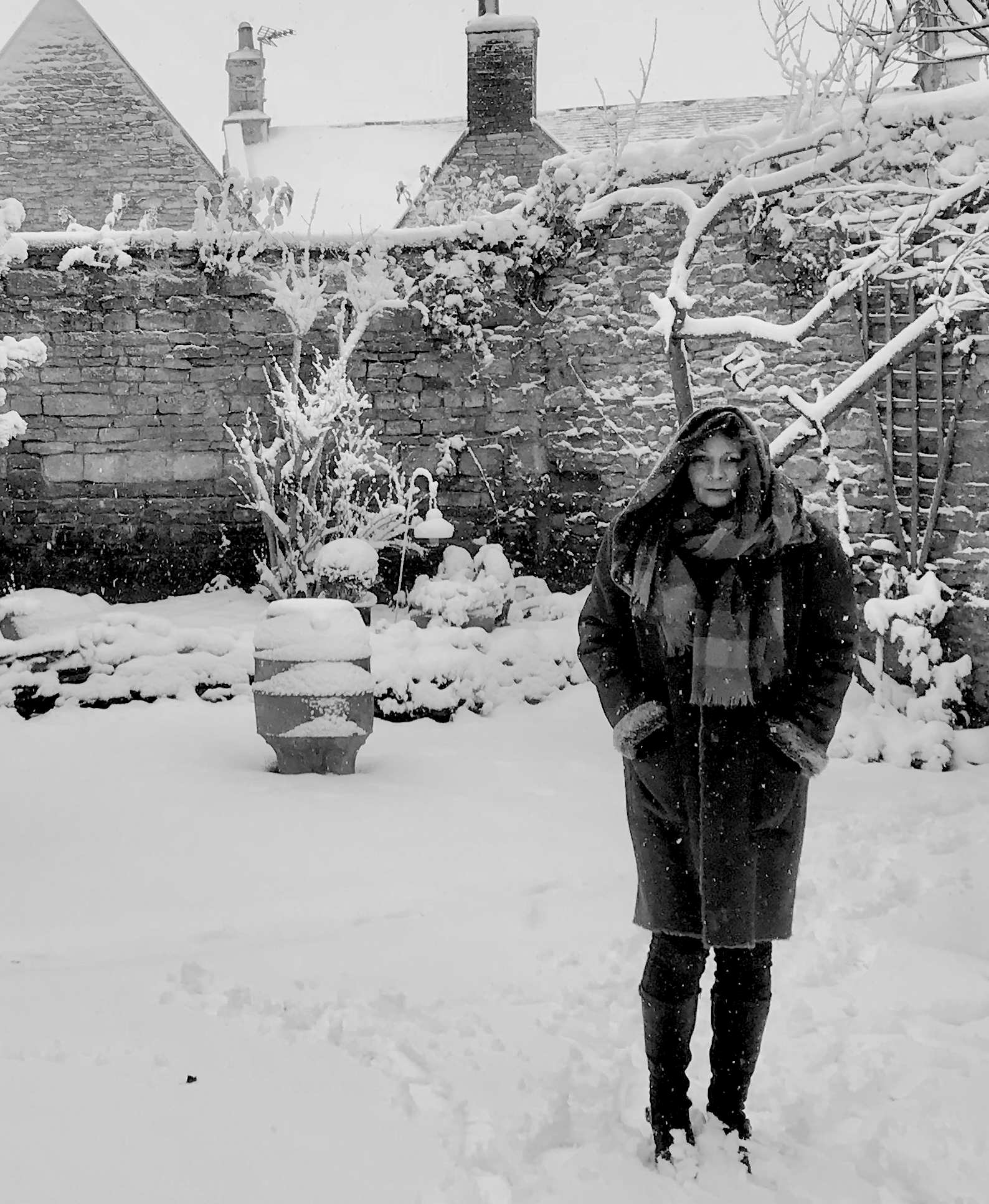 Screenshot 2026-03-06 at 15.50.34.png