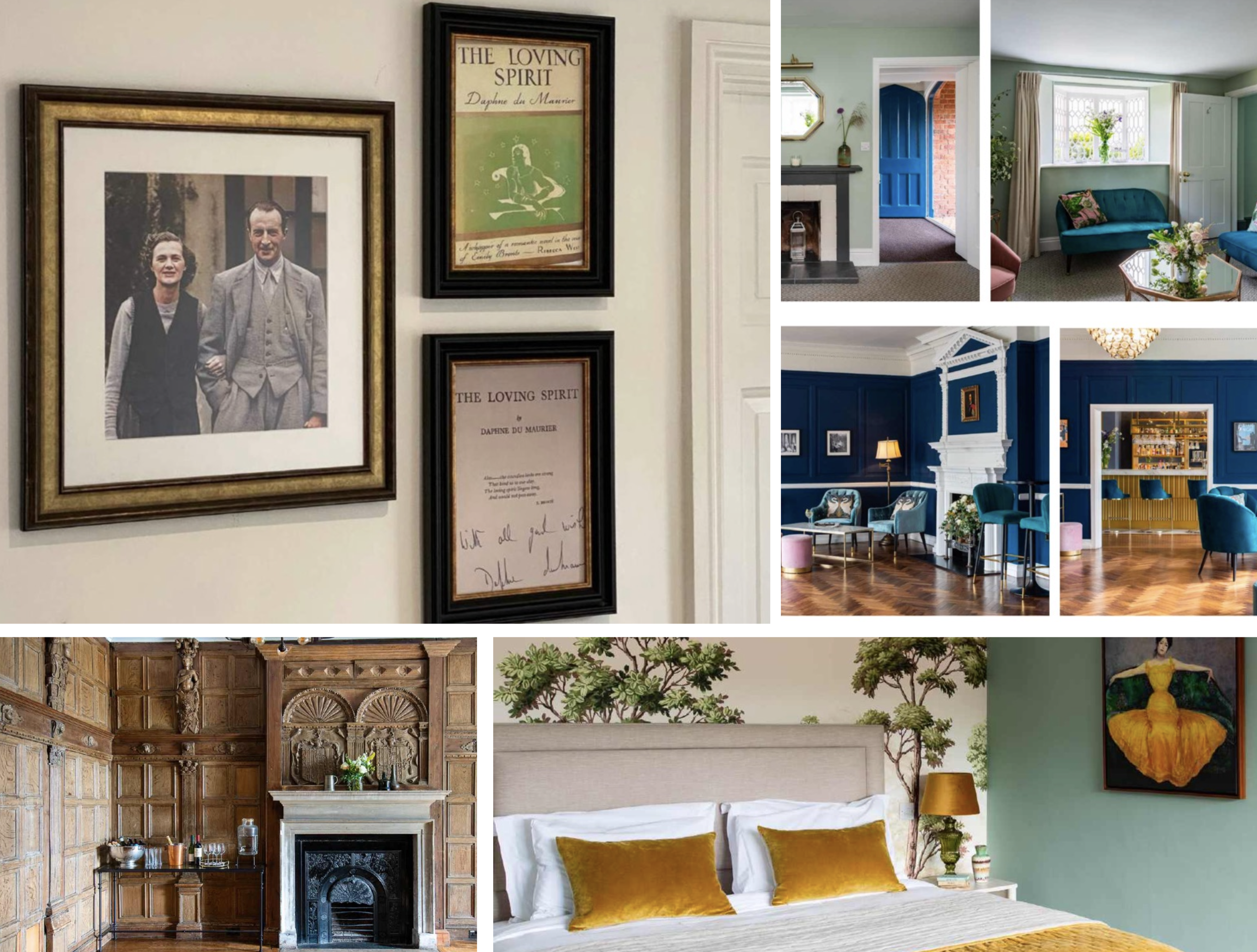The collage features various interior design styles, including a vintage wooden-paneled room, a modern living room with green walls and blue doors, a luxurious room with dark blue wainscoting, and a bedroom with white and mustard accents, showcasing diverse furniture and decor elements.