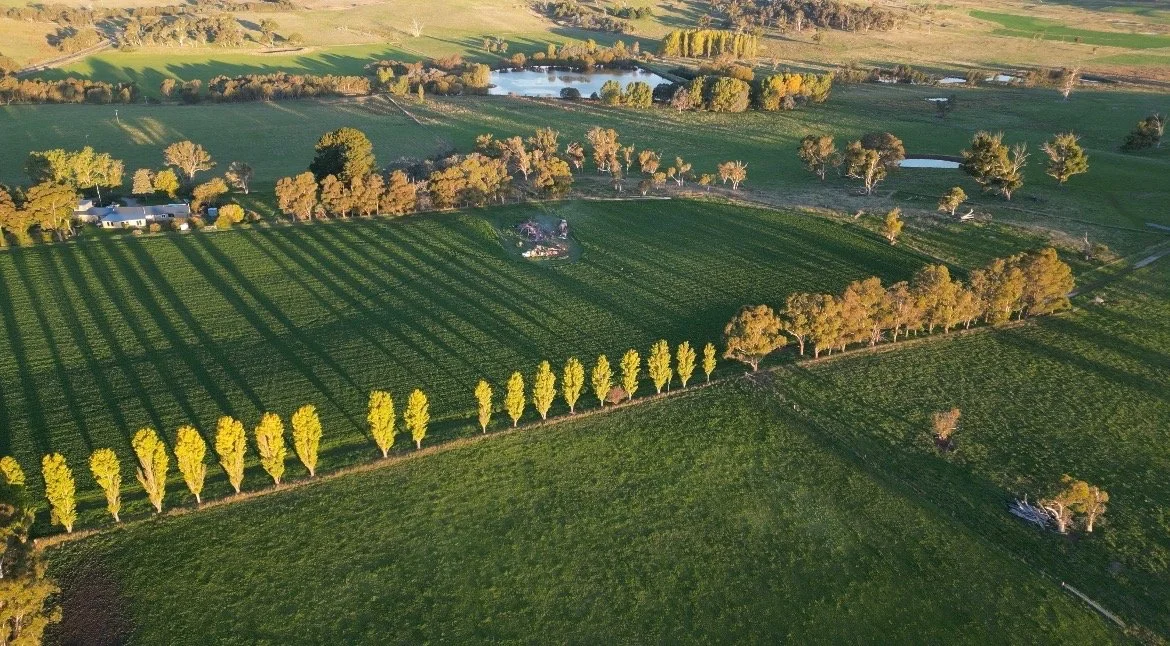 Kimbe-farm