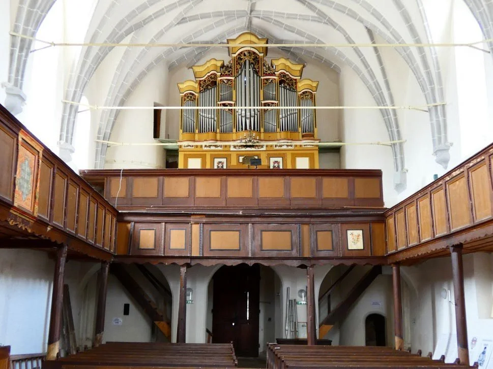Interno di una chiesa con un grande organo davanti all'altare e panchine in legno.